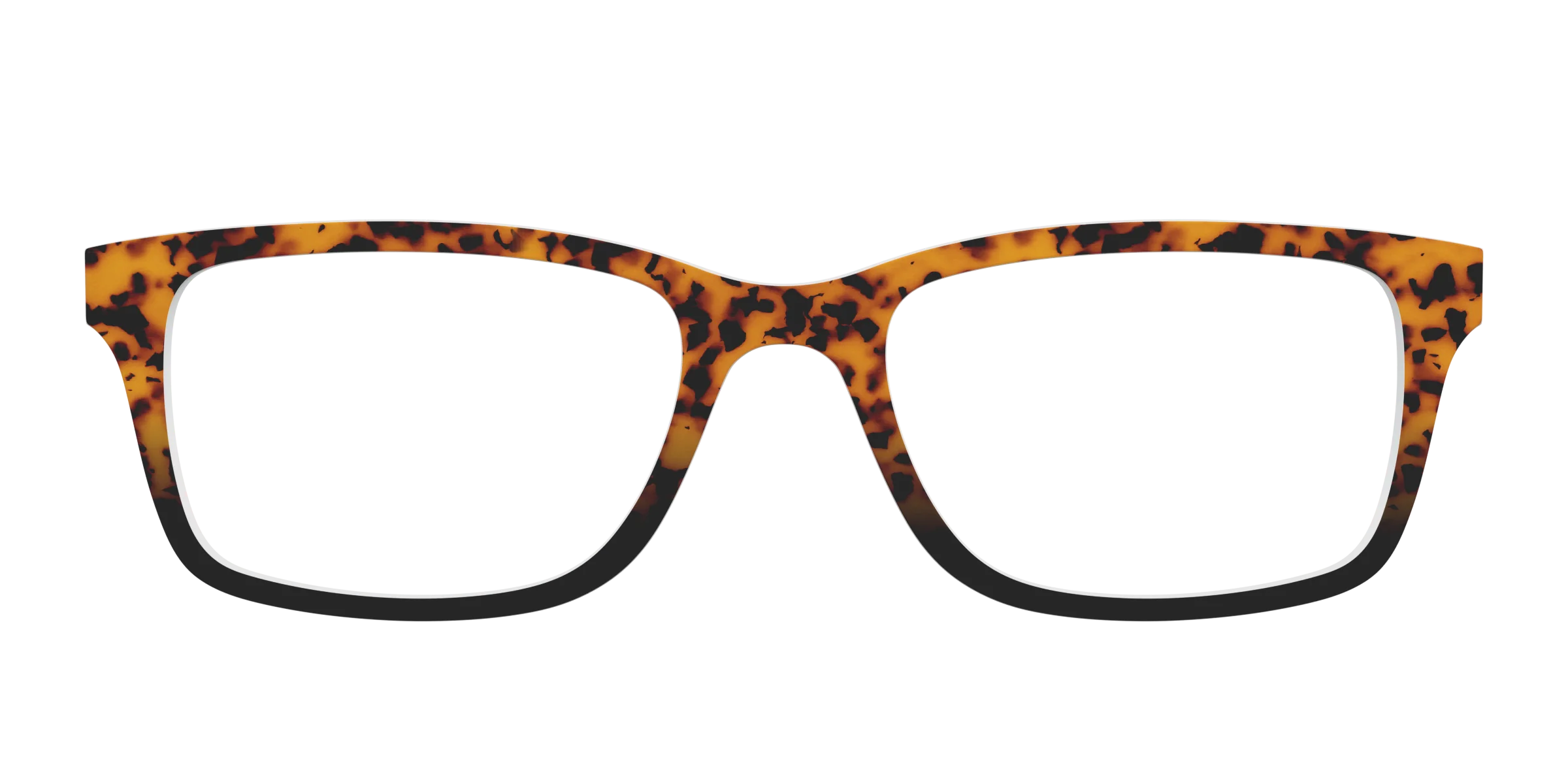 The Amber Tort - Image 5