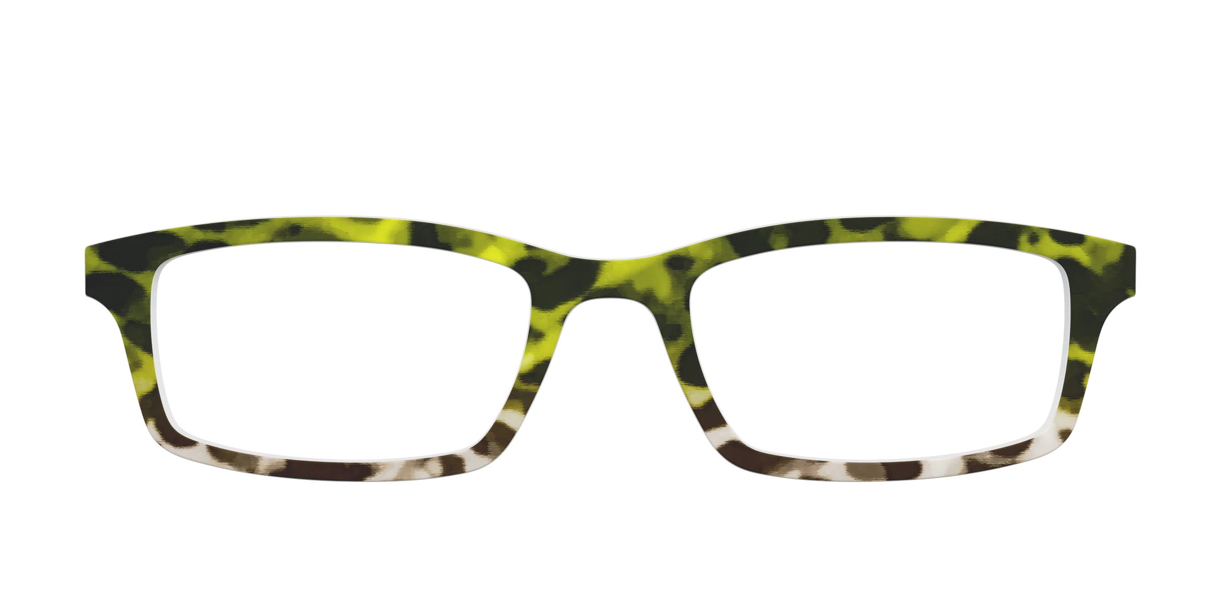 The Avocado to Ivory Tortoise
