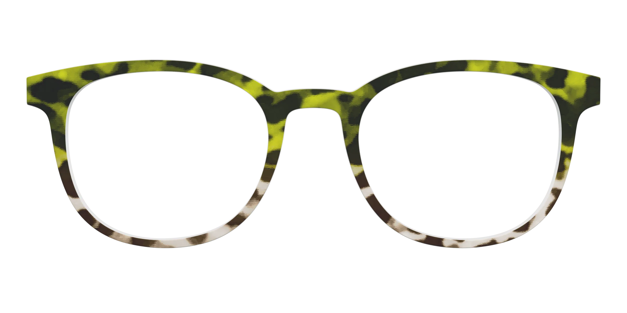 The Avocado to Ivory Tortoise - Image 15