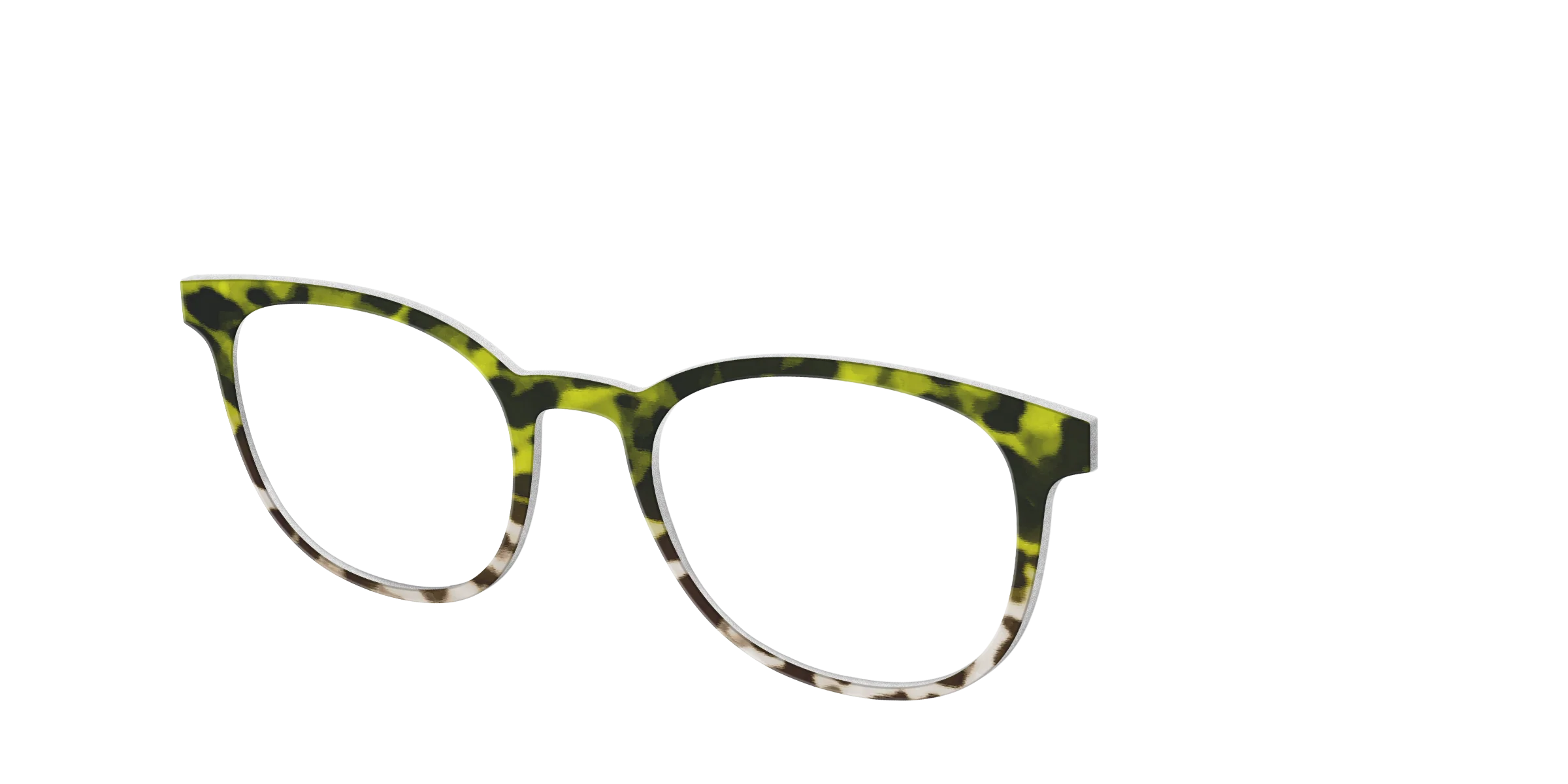 The Avocado to Ivory Tortoise - Image 16
