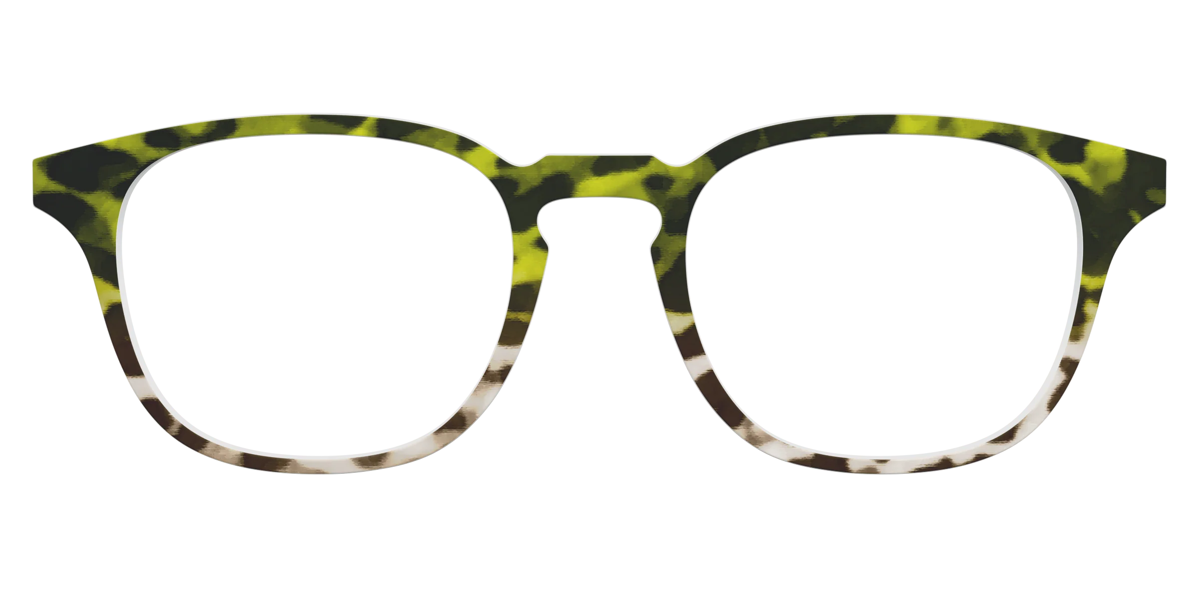 The Avocado to Ivory Tortoise - Image 17