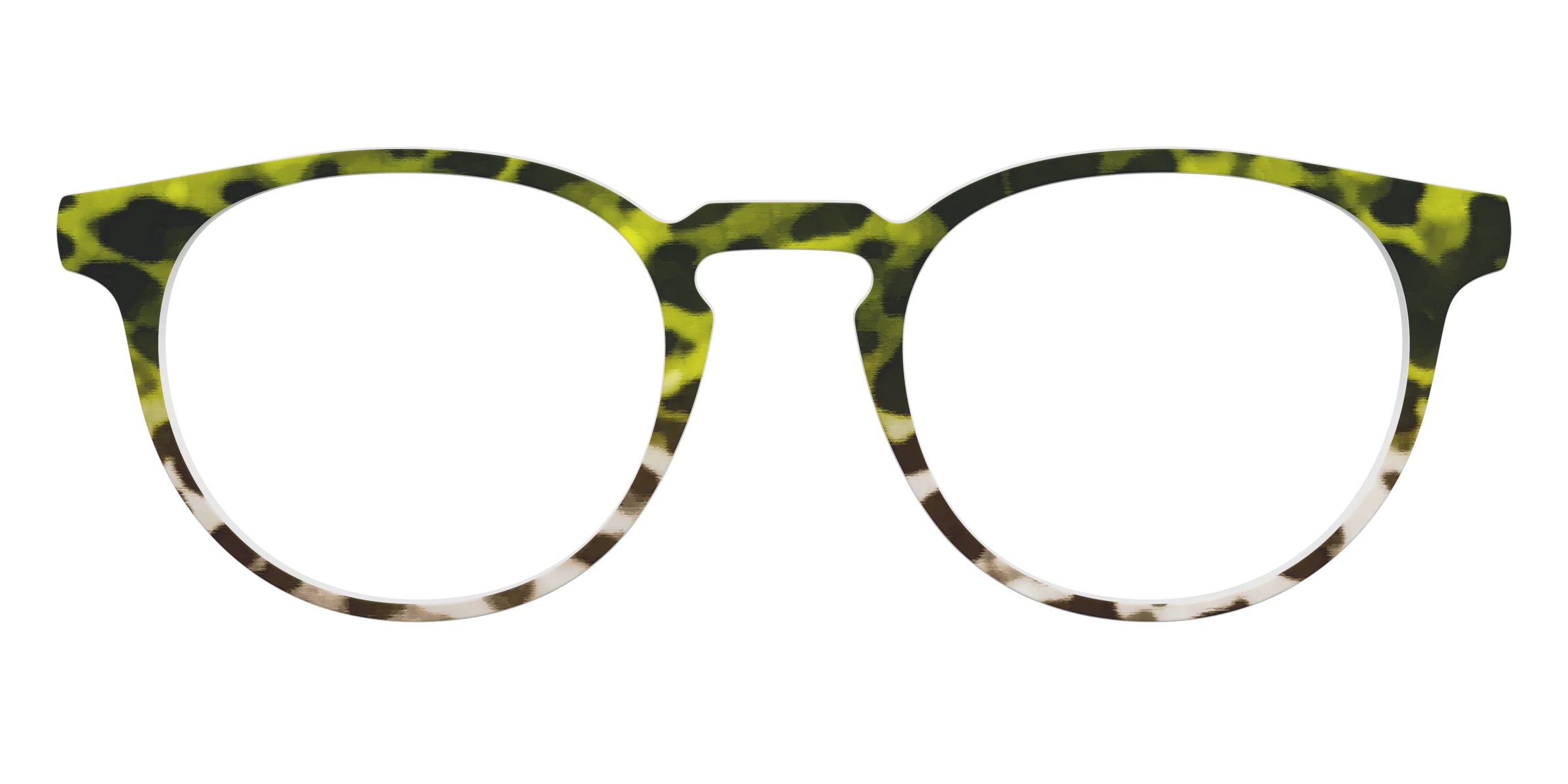 The Avocado to Ivory Tortoise - Image 19