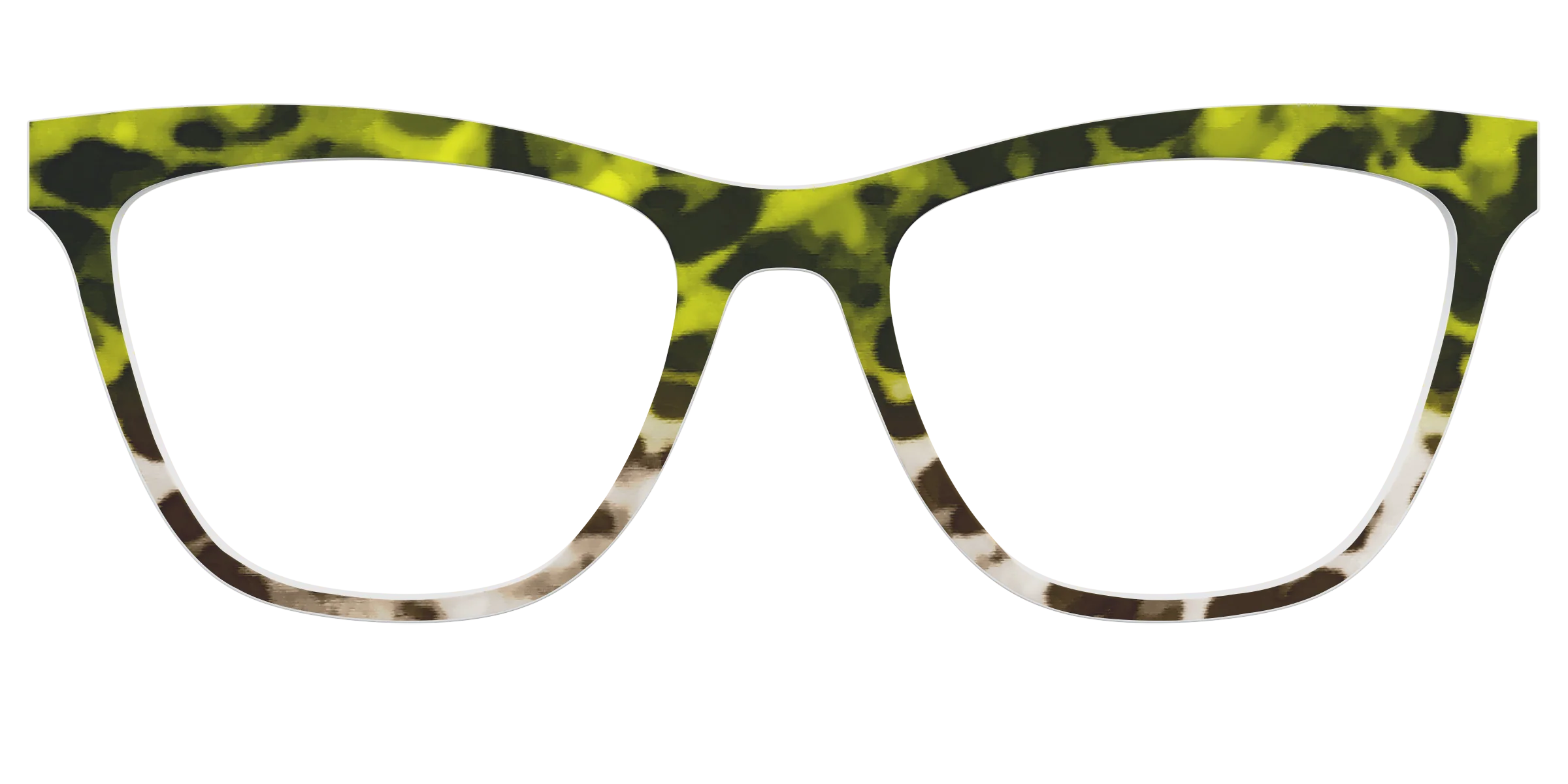The Avocado to Ivory Tortoise - Image 24