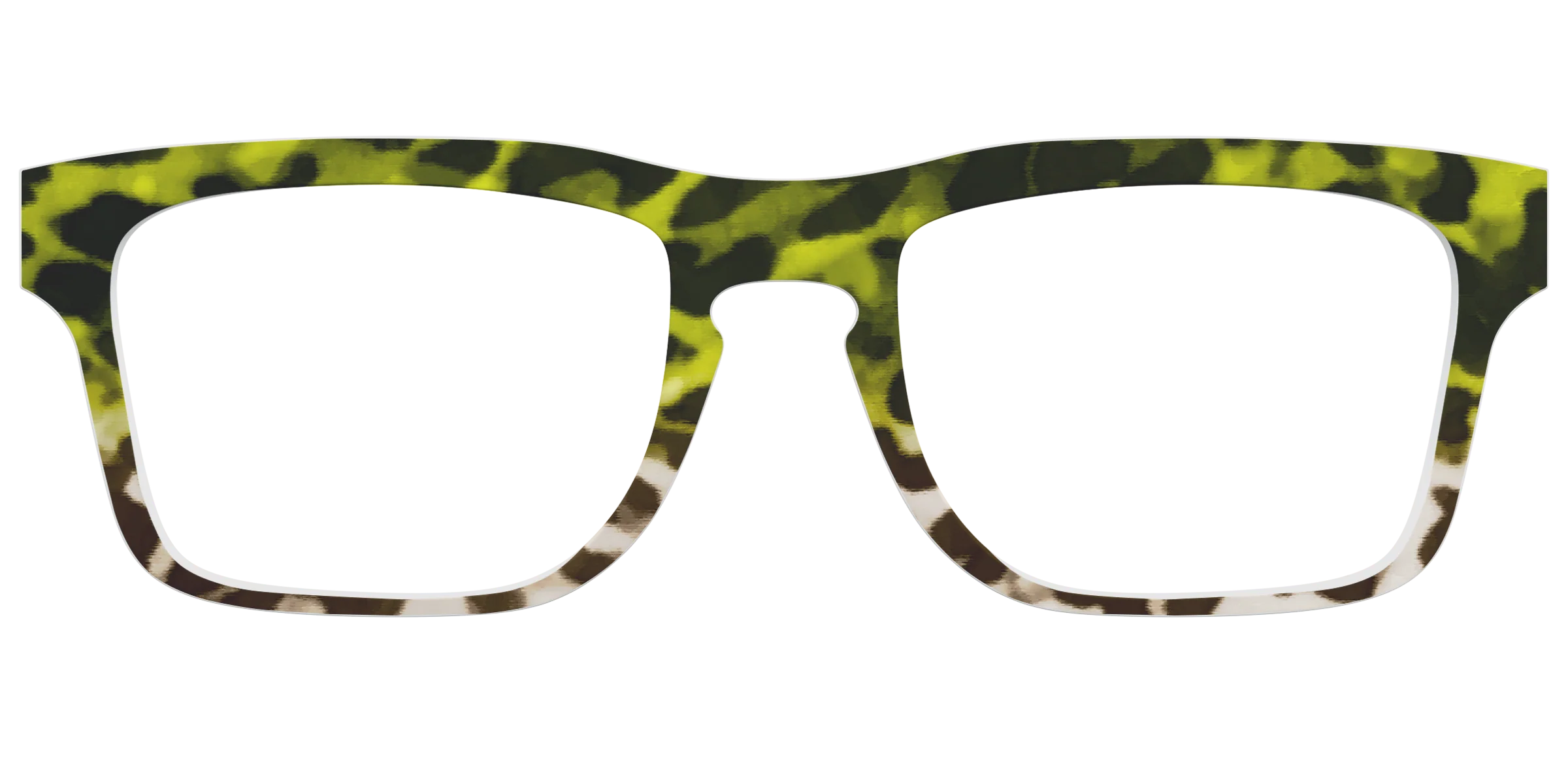 The Avocado to Ivory Tortoise - Image 27