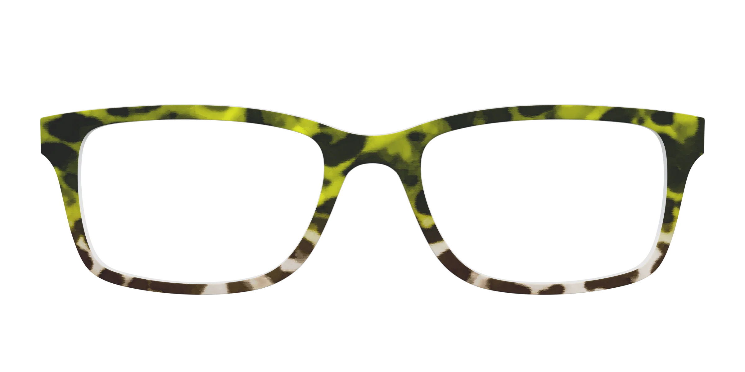 The Avocado to Ivory Tortoise - Image 5