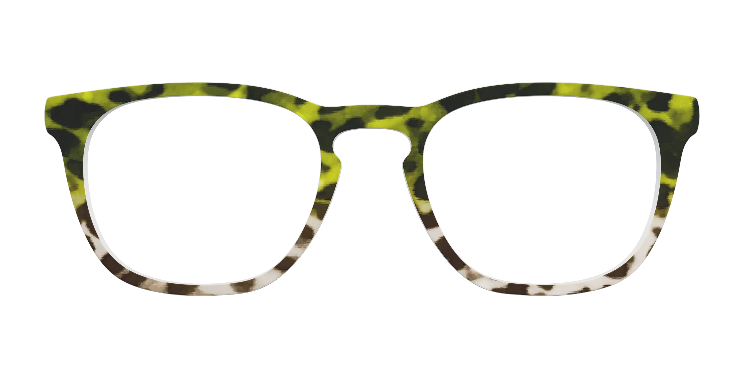 The Avocado to Ivory Tortoise - Image 7