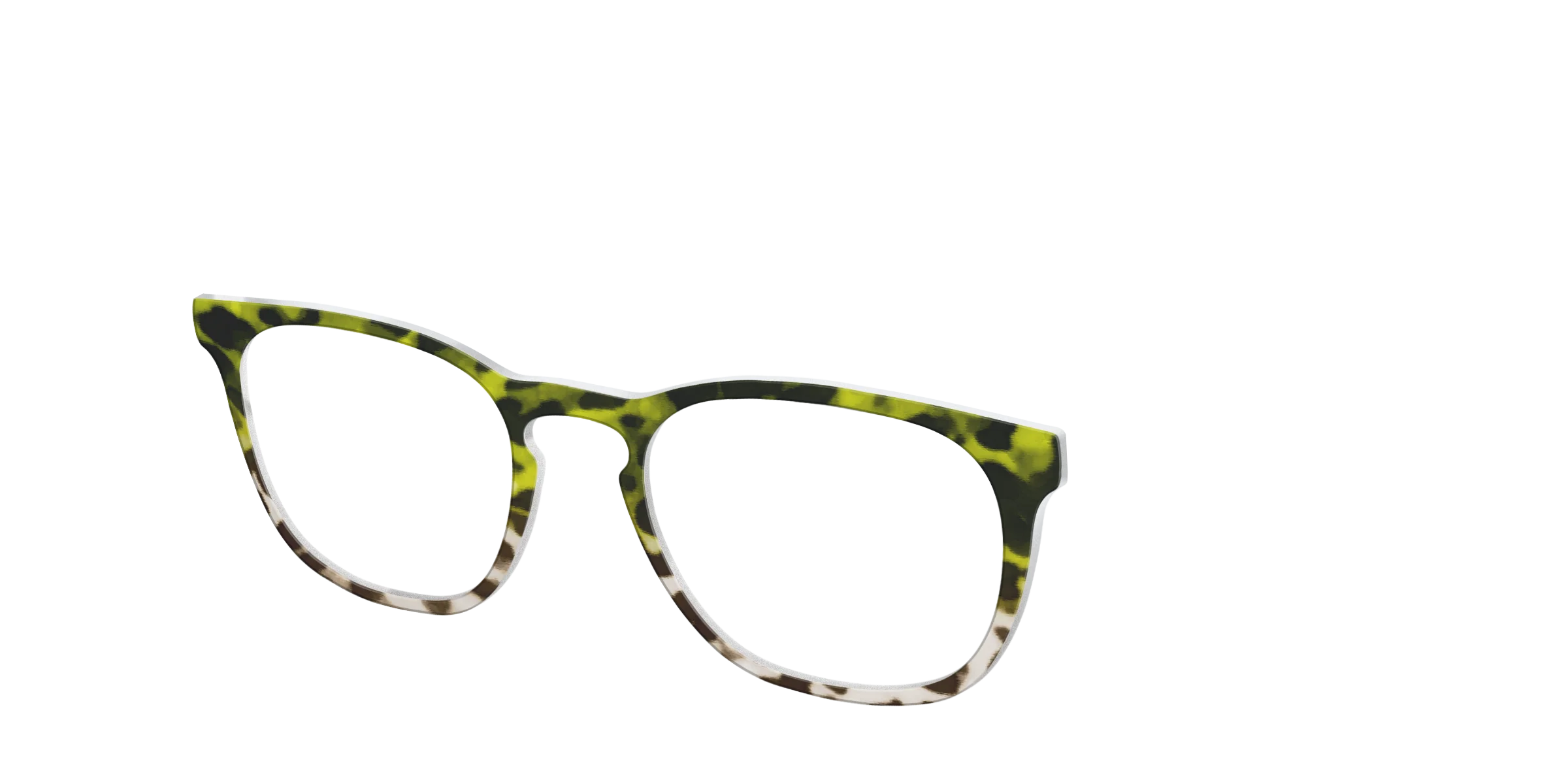The Avocado to Ivory Tortoise - Image 8