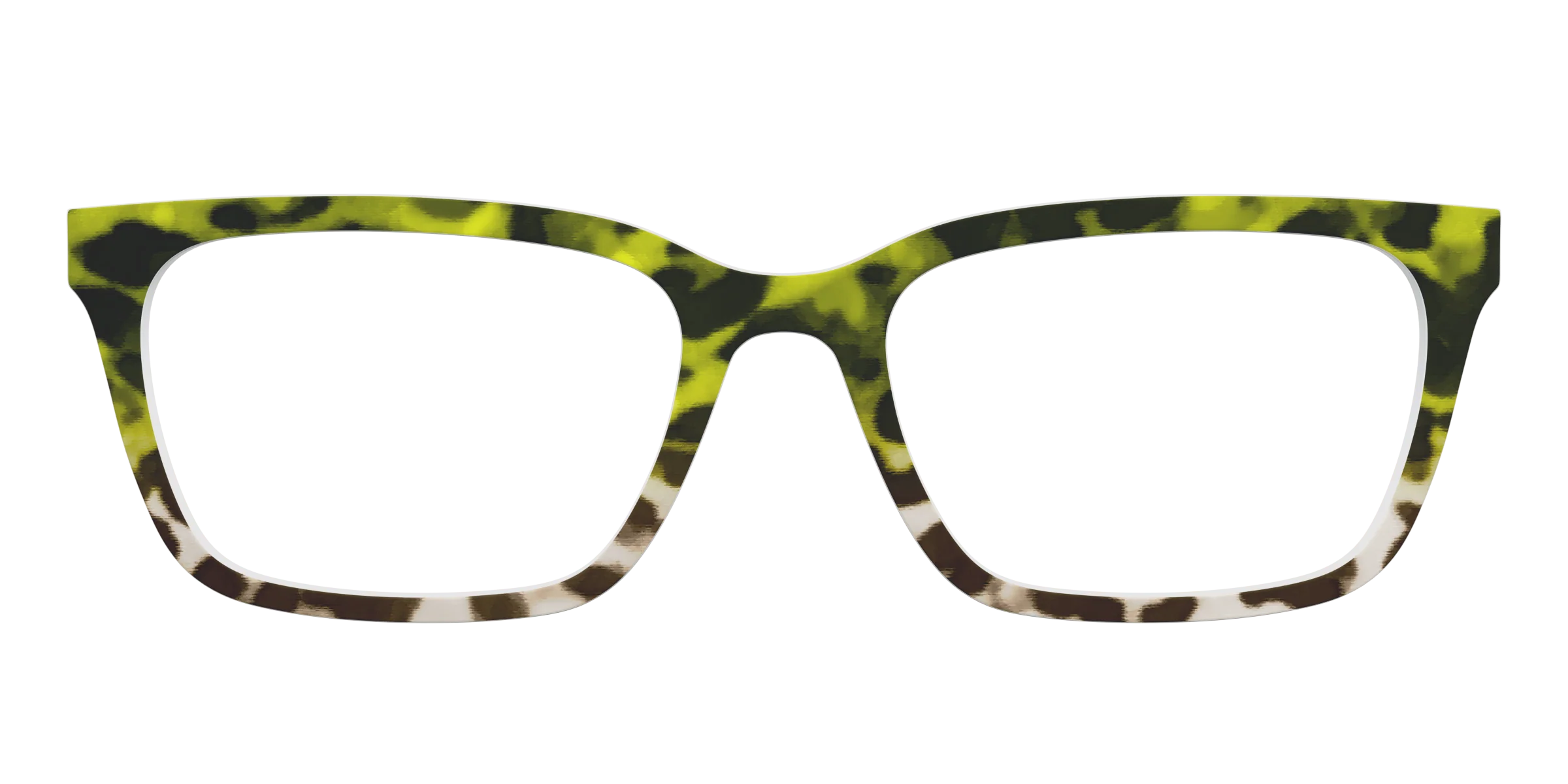 The Avocado to Ivory Tortoise - Image 9
