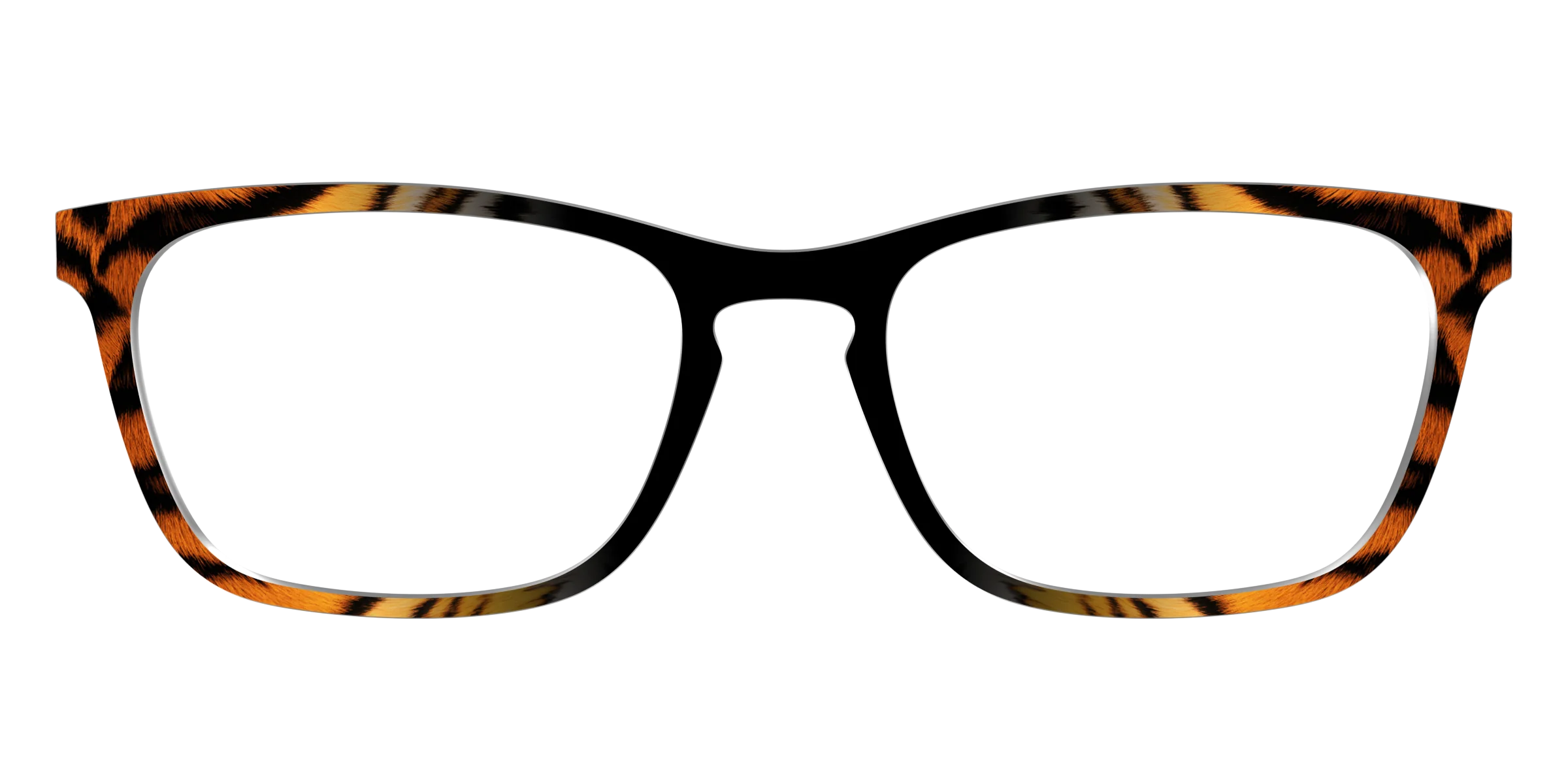 The Bengal Stripes - Image 13