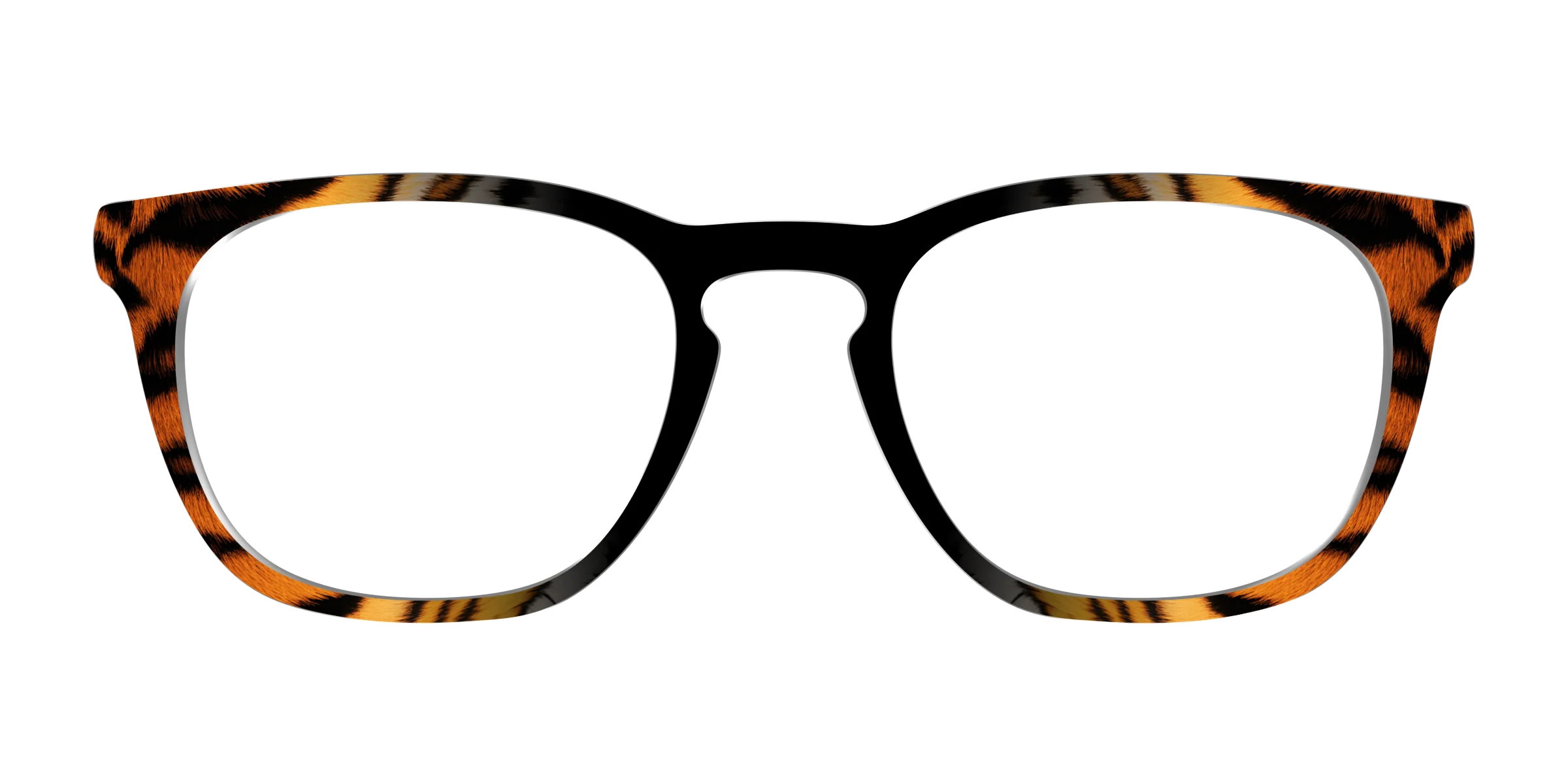 The Bengal Stripes - Image 7