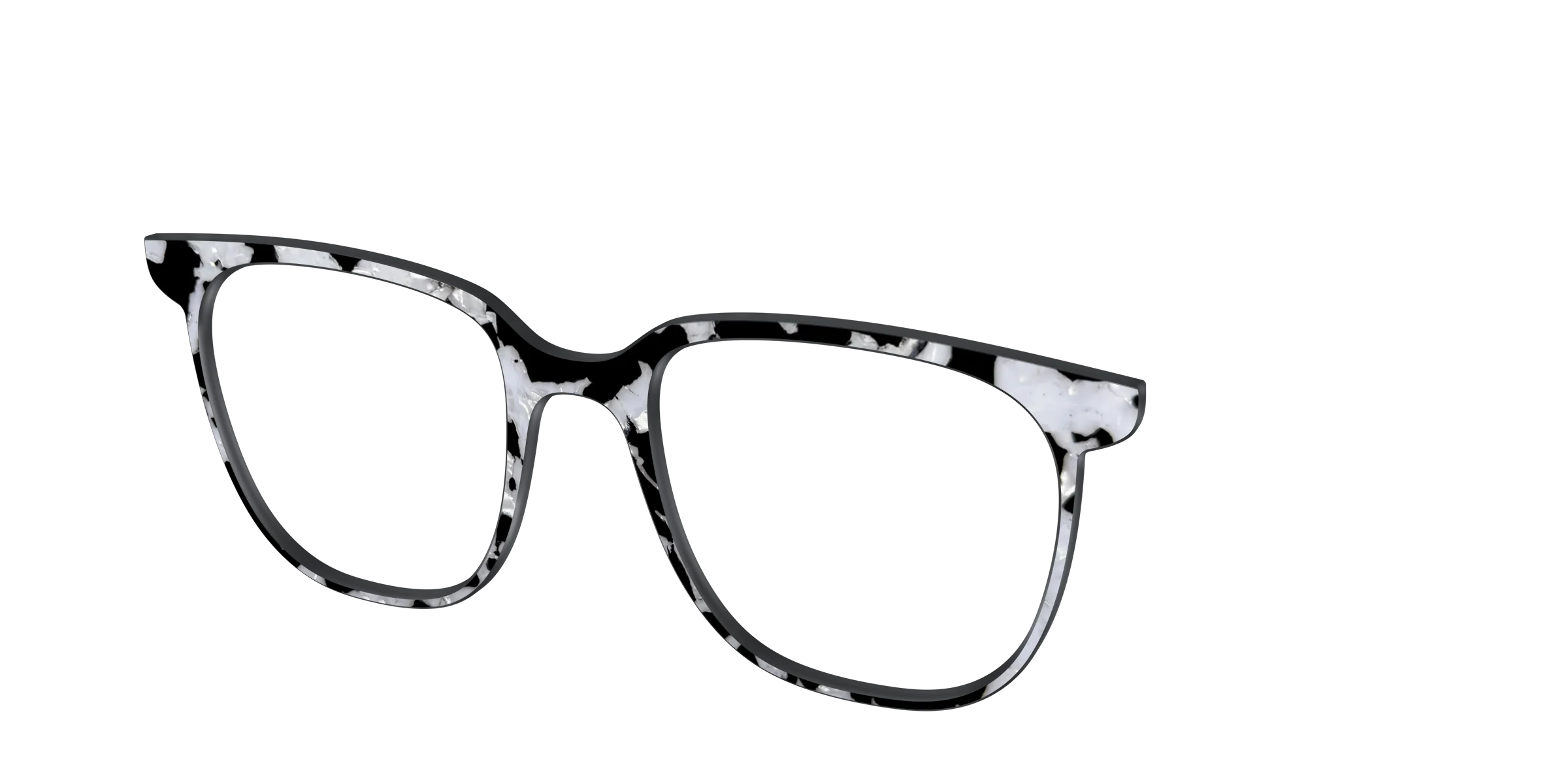 The Black & White Pearl Tortoise - Image 48