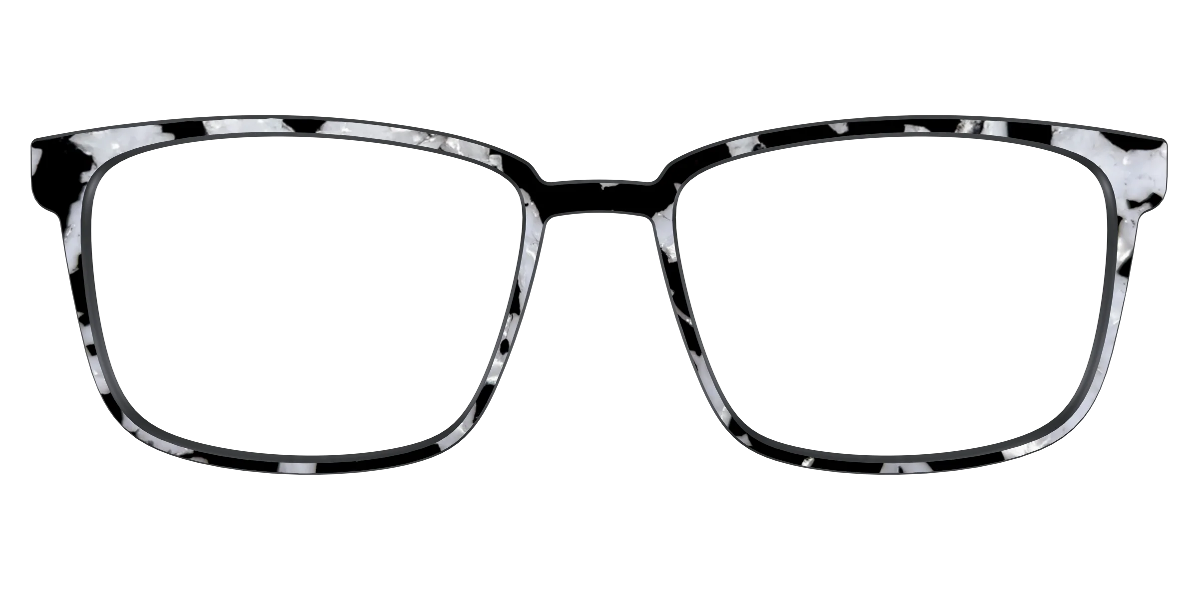 The Black & White Pearl Tortoise - Image 49