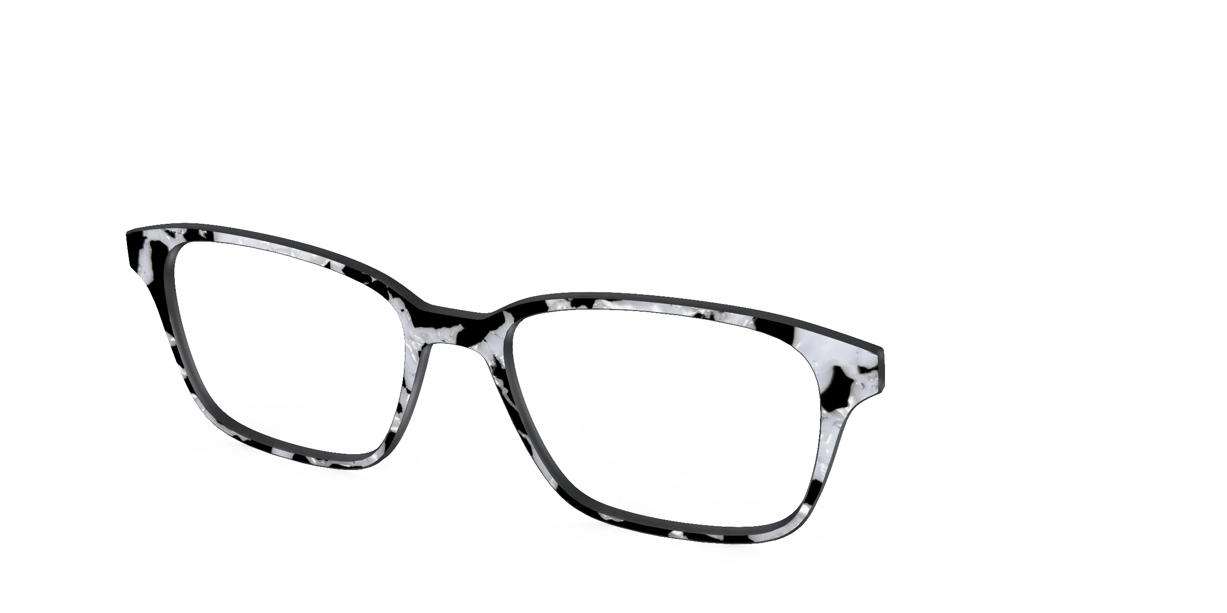 The Black & White Pearl Tortoise - Image 56