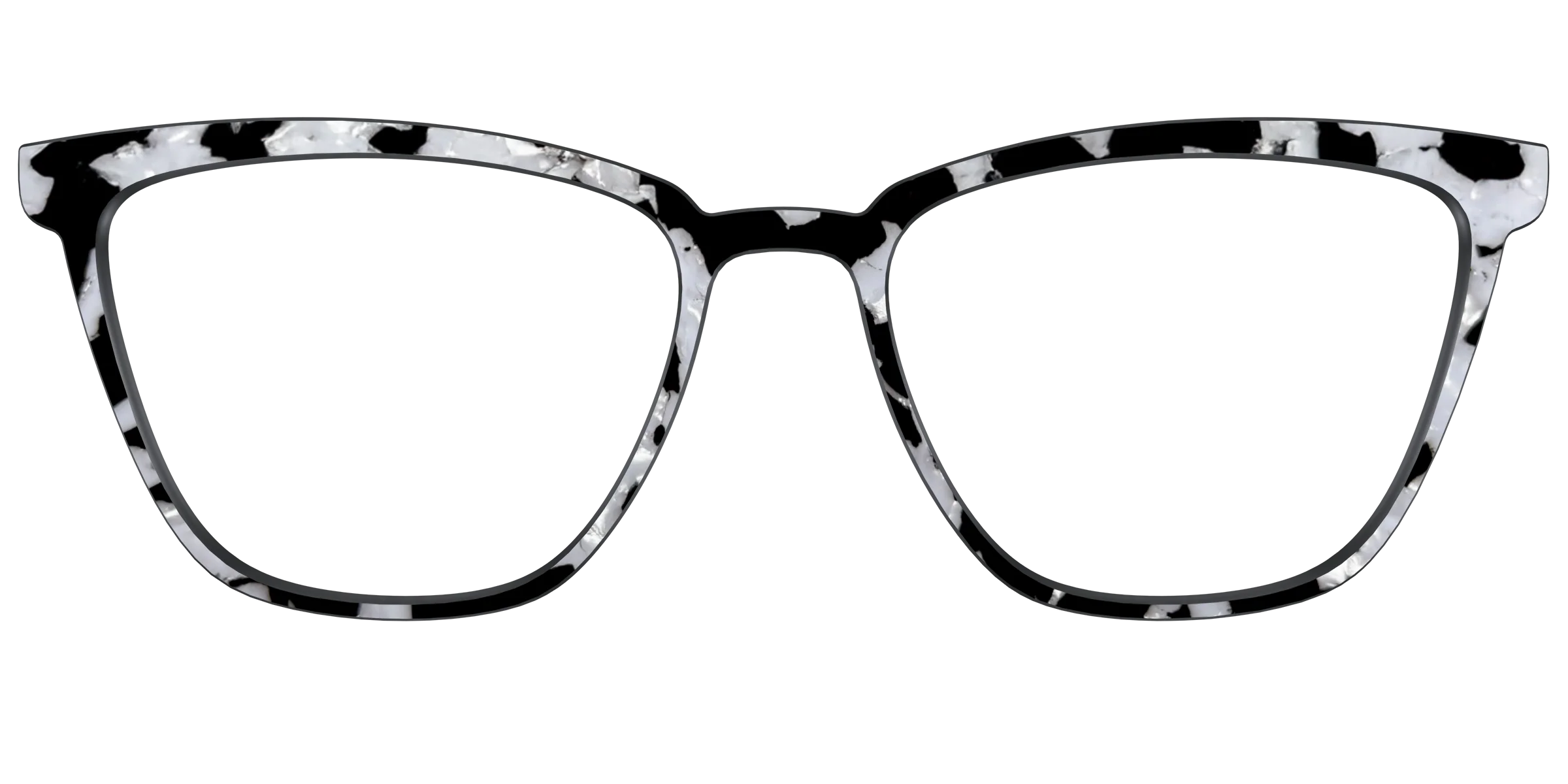 The Black & White Pearl Tortoise - Image 57