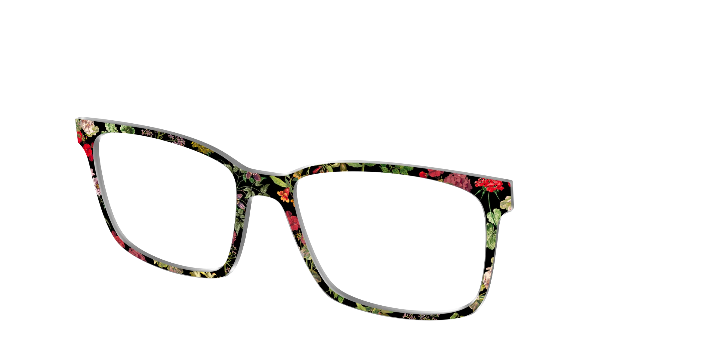 The Botanical Study - Image 12