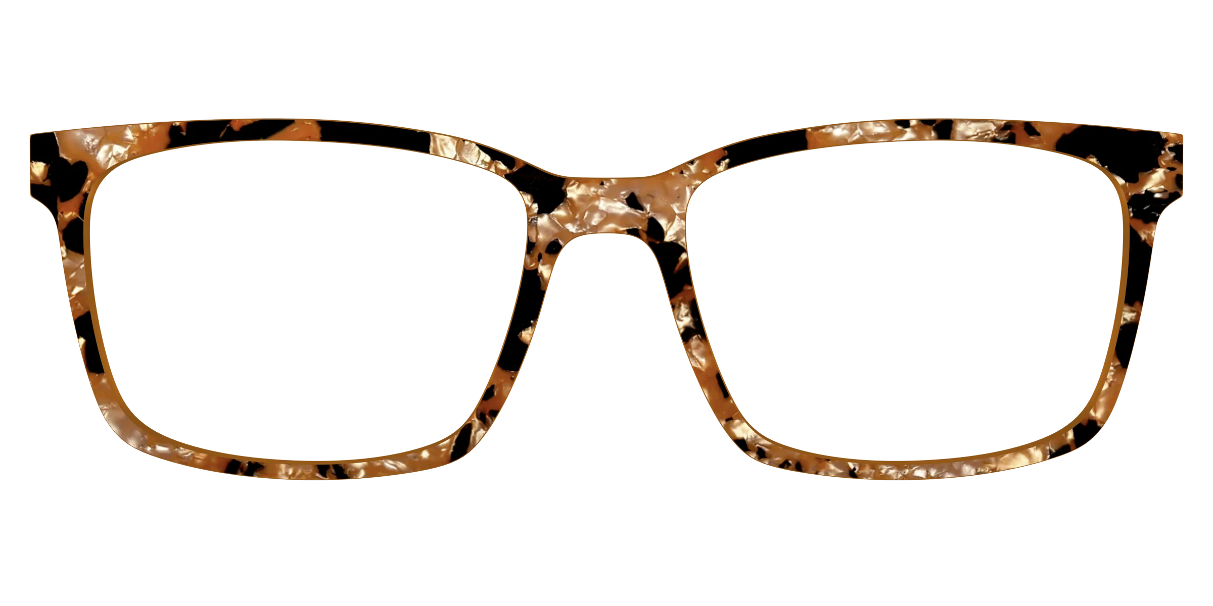 The Caramel Pearl Tortoise - Image 11