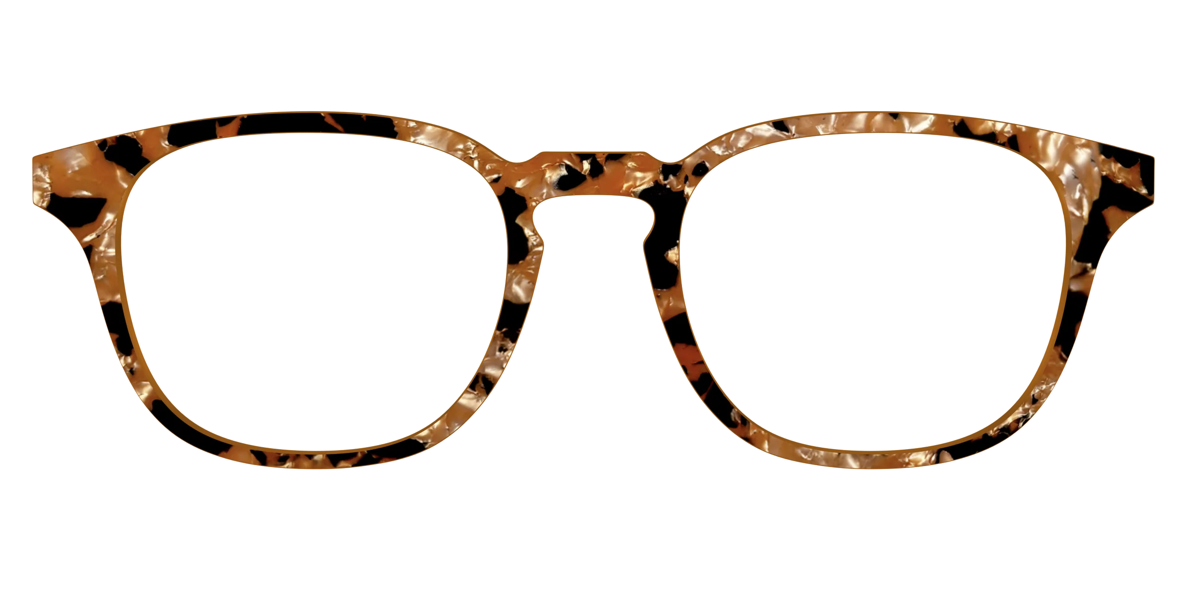 The Caramel Pearl Tortoise - Image 17