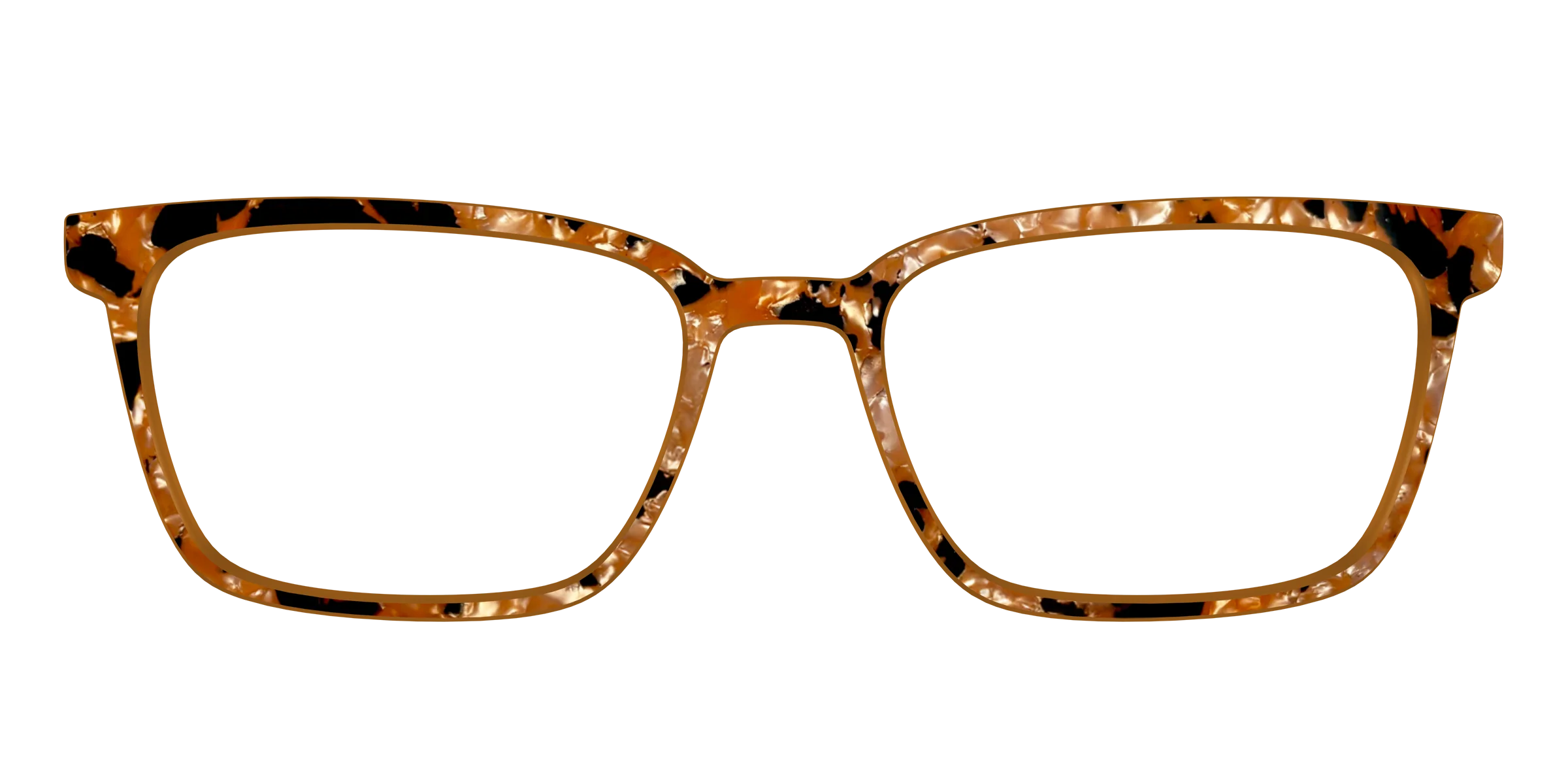 The Caramel Pearl Tortoise - Image 45