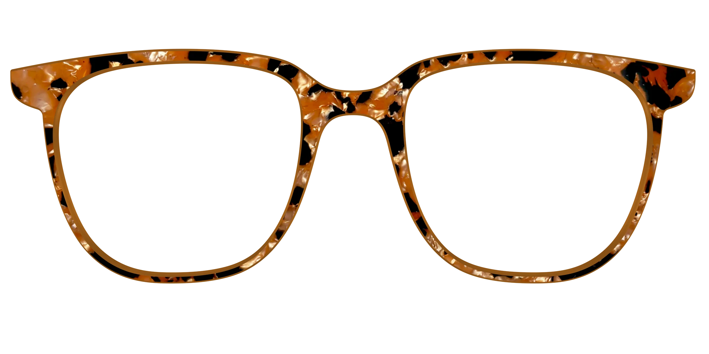 The Caramel Pearl Tortoise - Image 47