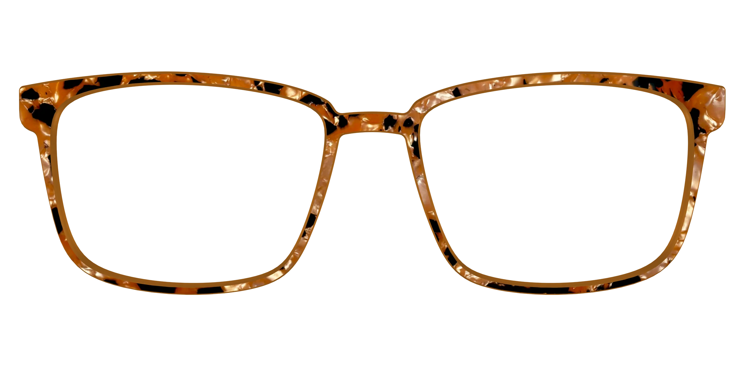 The Caramel Pearl Tortoise - Image 49