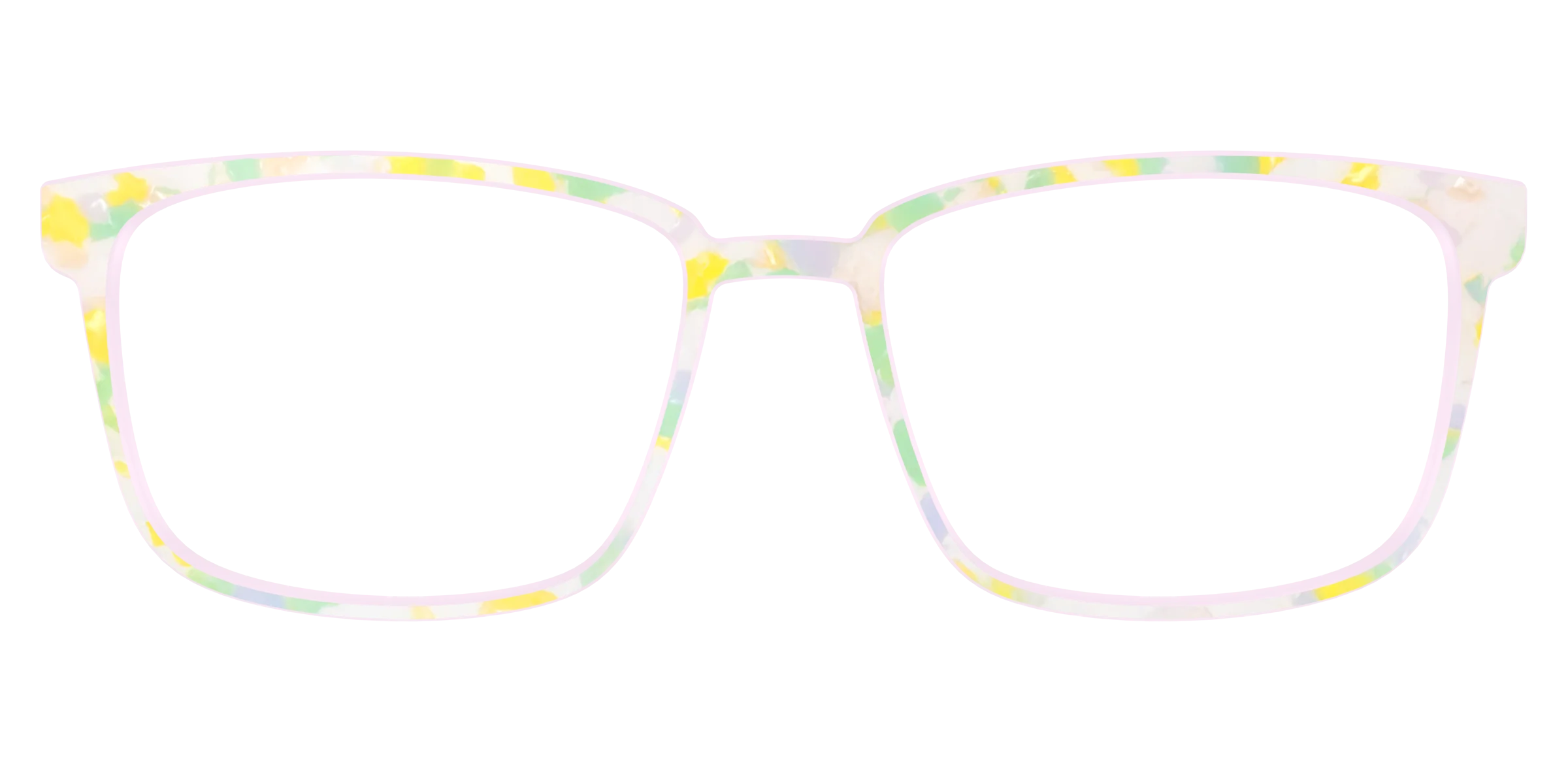 The Daffodil Pearl Tortoise - Image 49