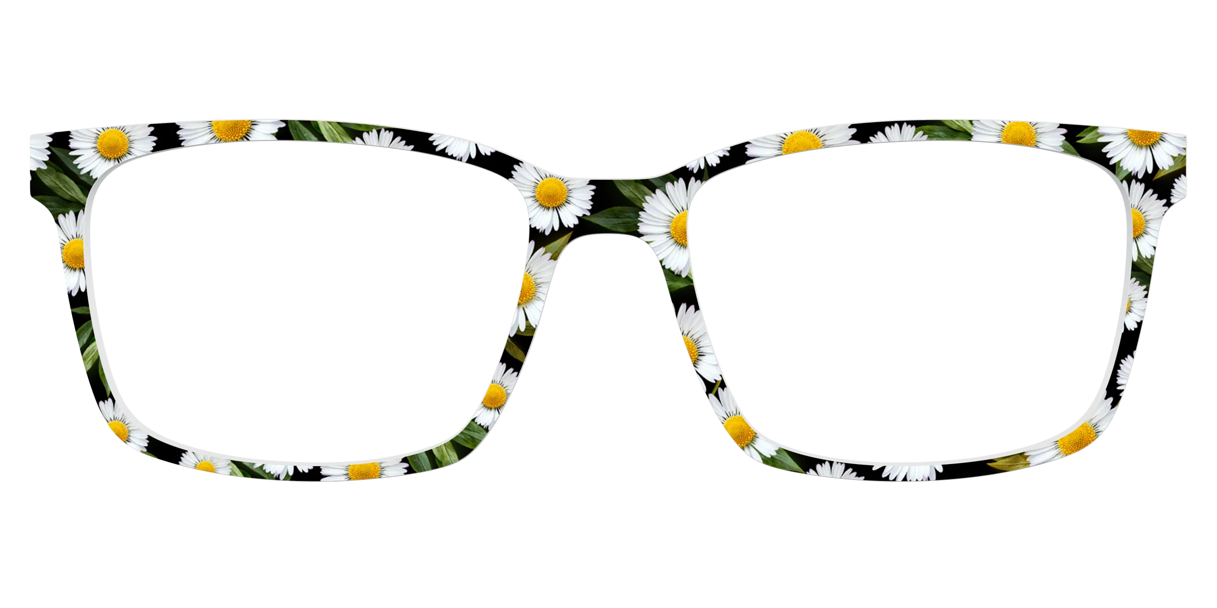 The Delicate Daisies - Image 11