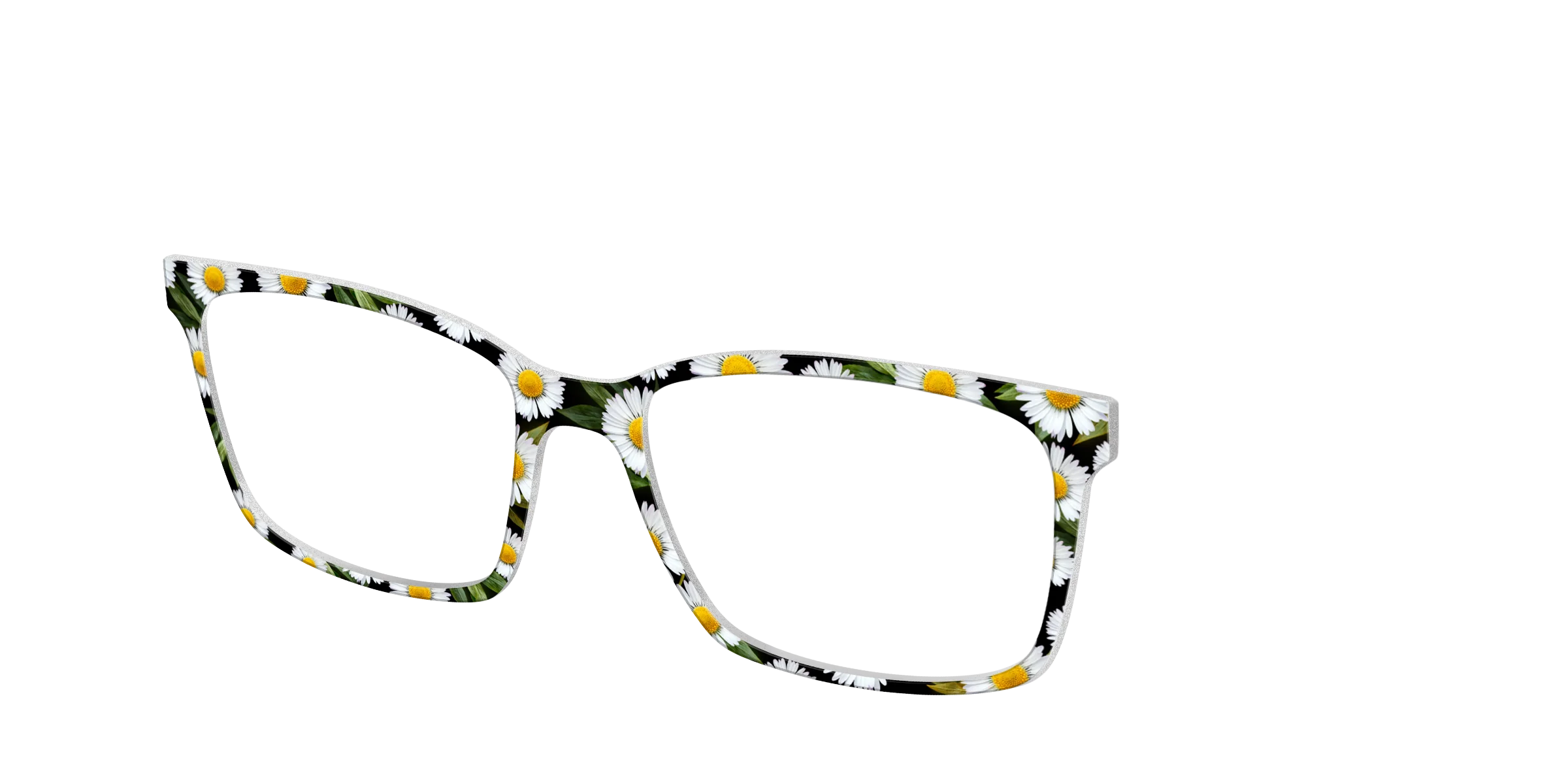 The Delicate Daisies - Image 12