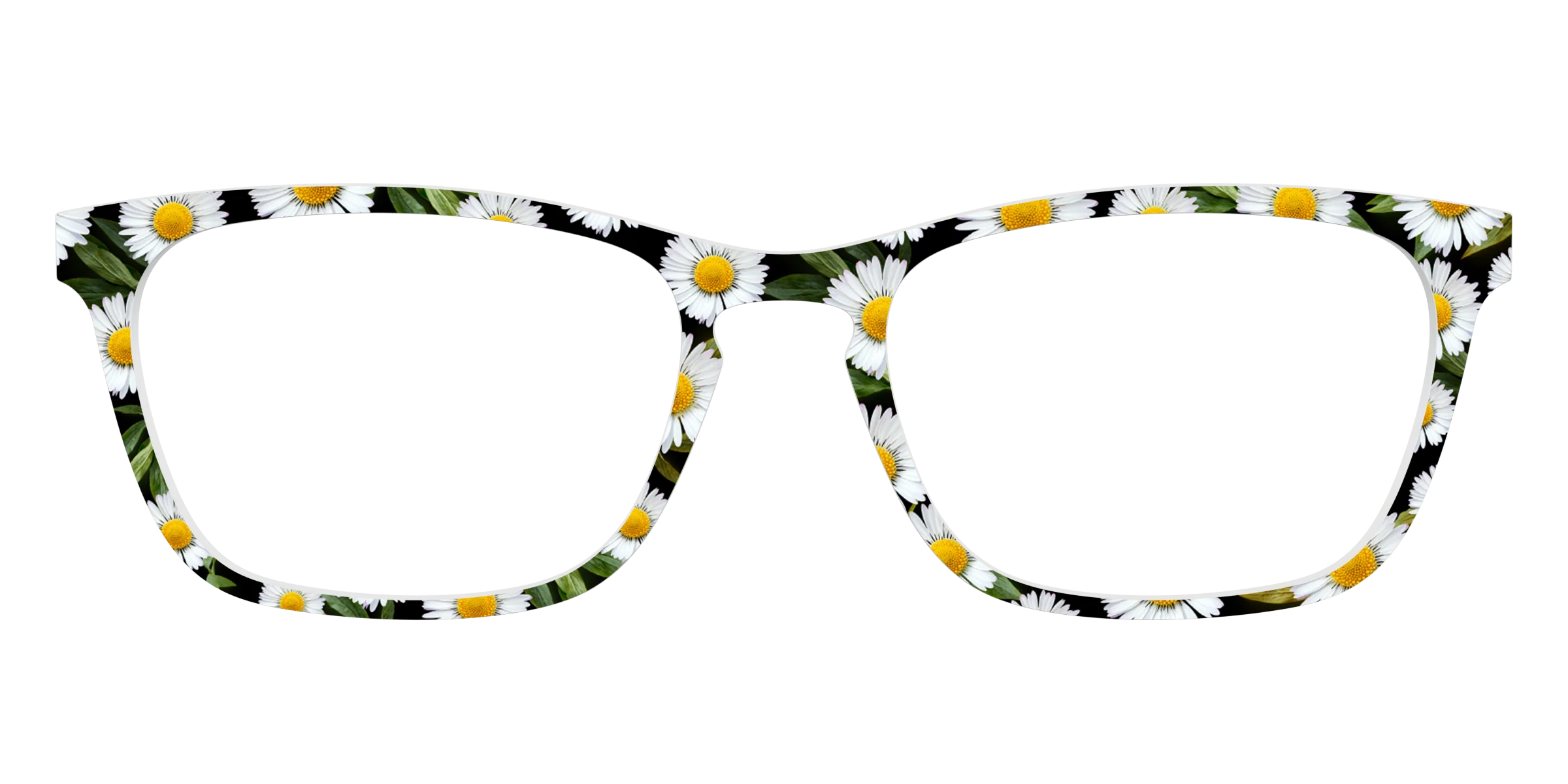 The Delicate Daisies - Image 13