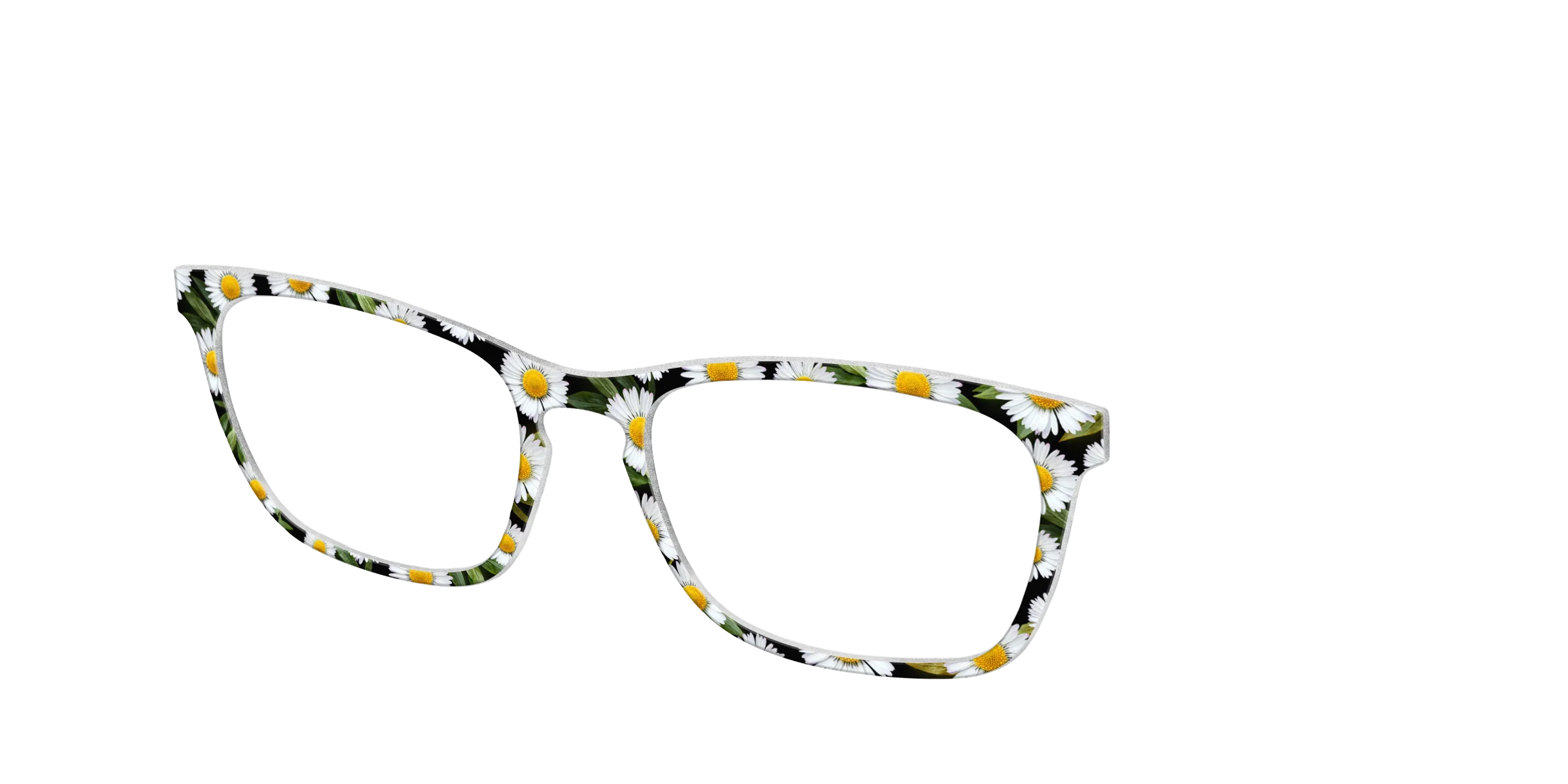 The Delicate Daisies - Image 14