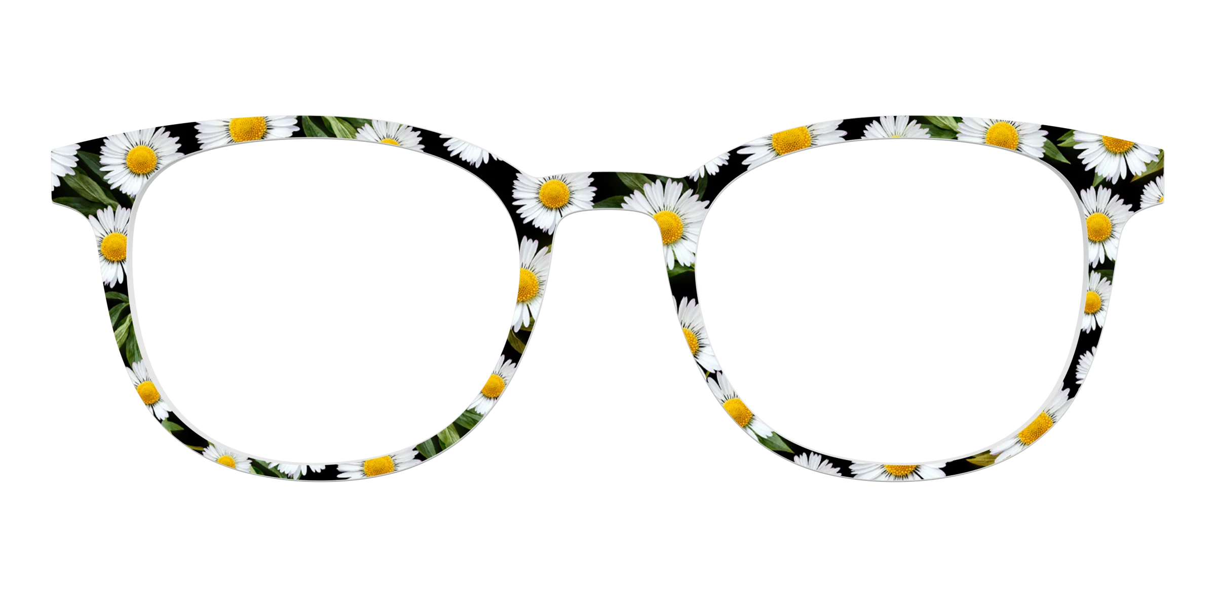 The Delicate Daisies - Image 15