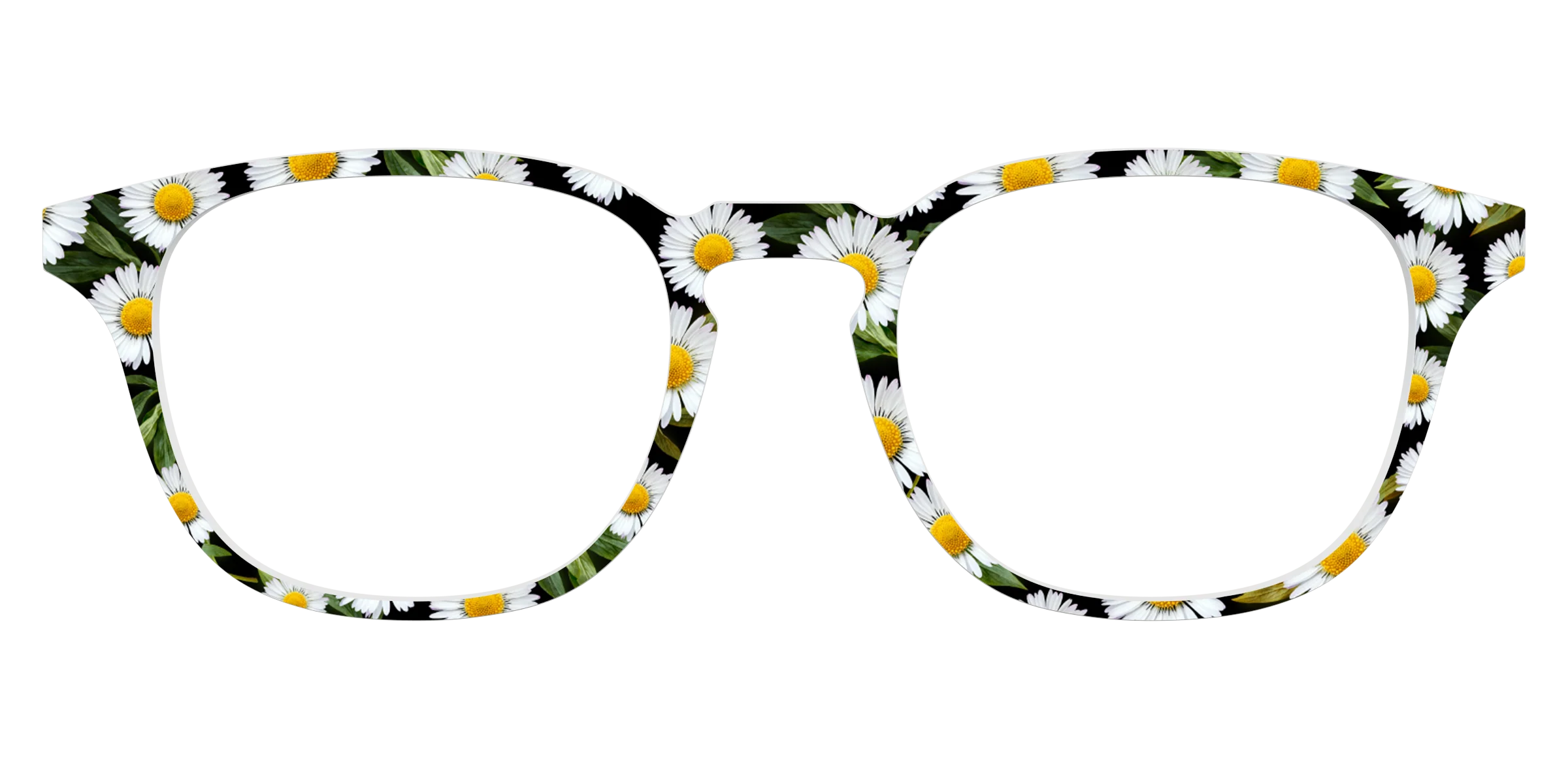 The Delicate Daisies - Image 17