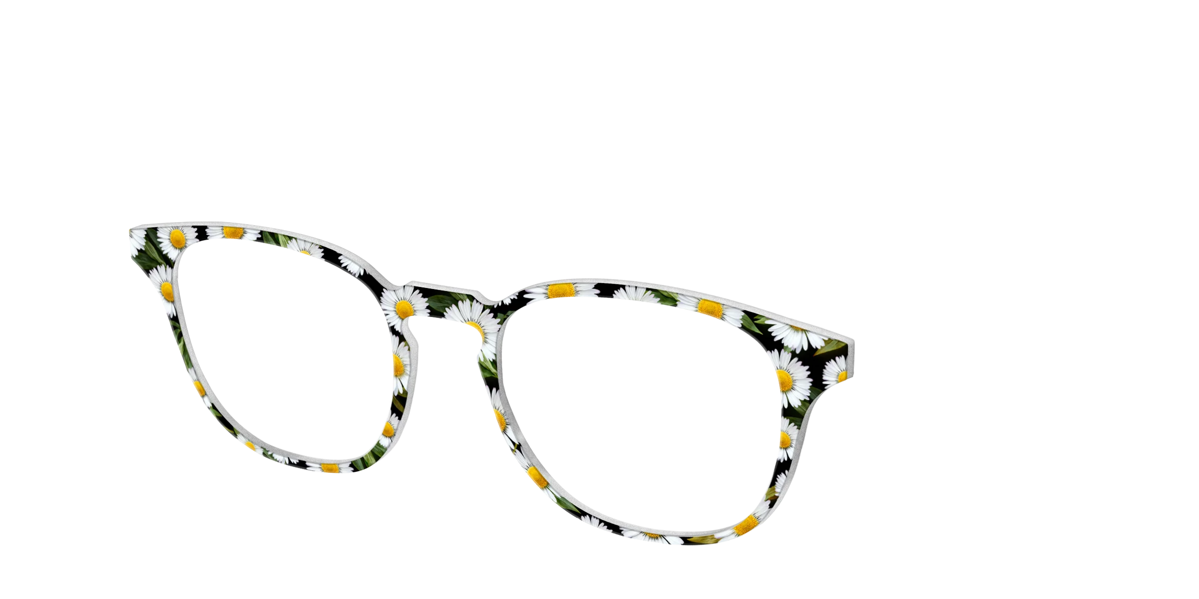 The Delicate Daisies - Image 18