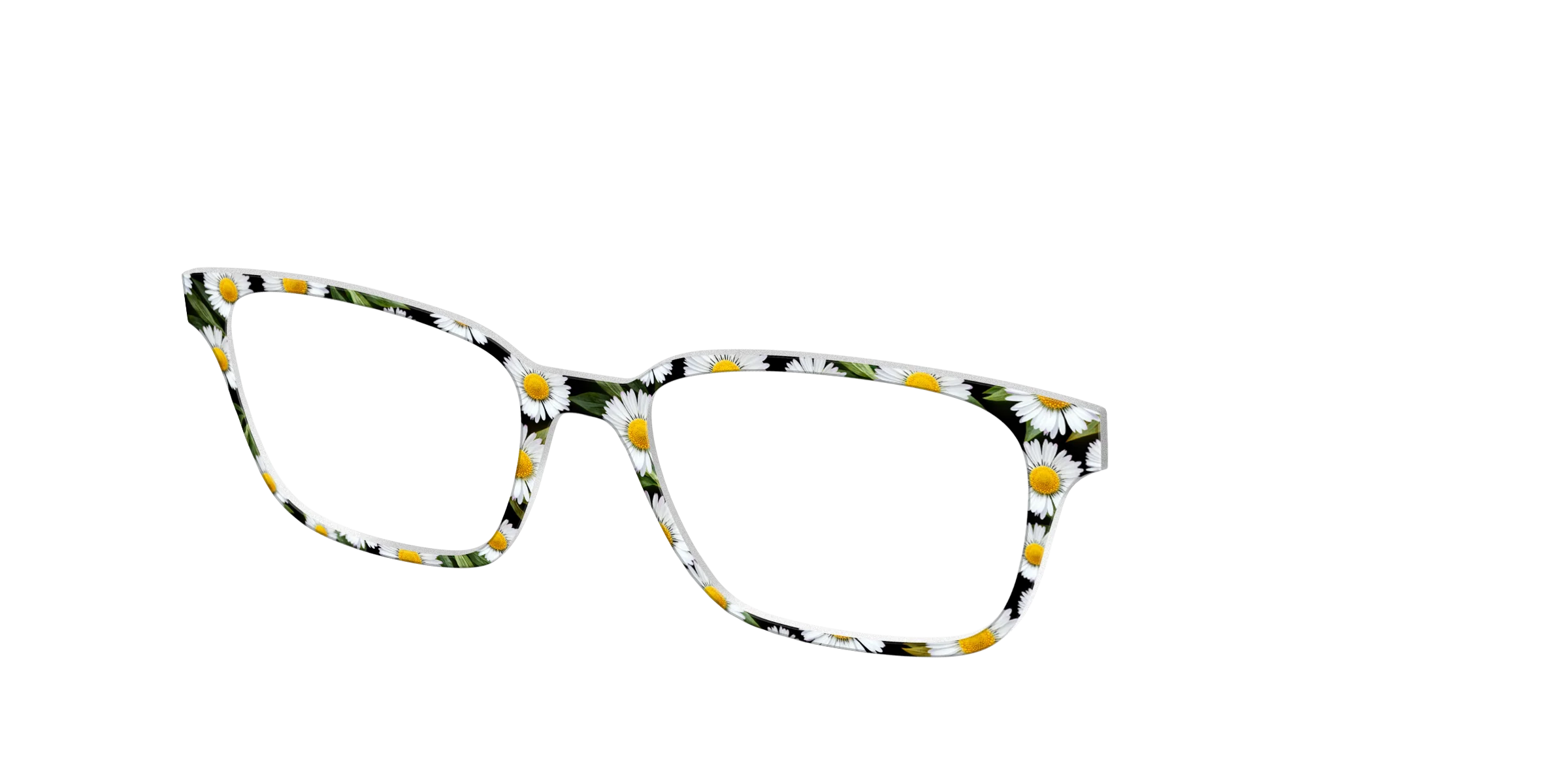 The Delicate Daisies - Image 22