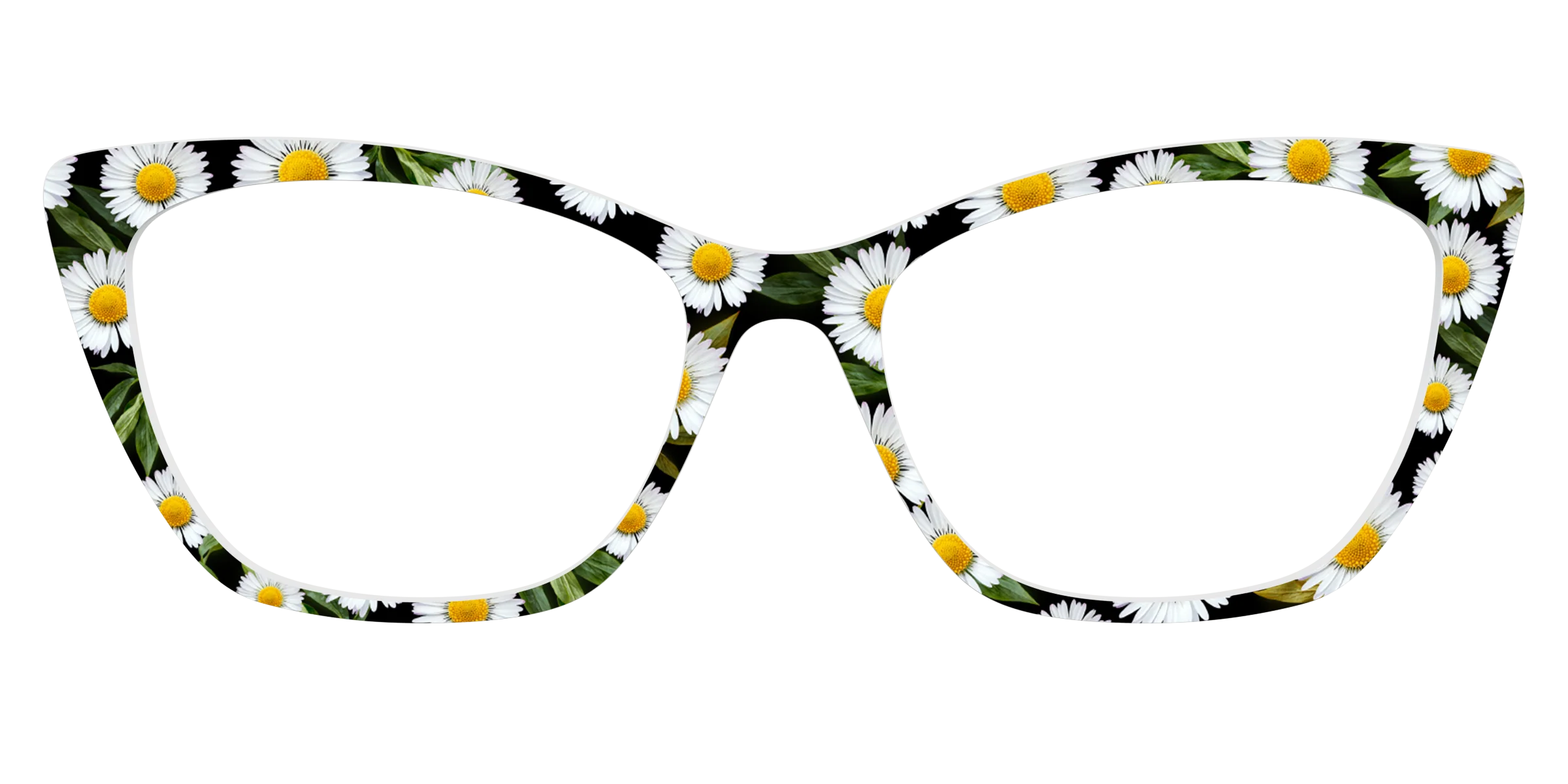 The Delicate Daisies - Image 25