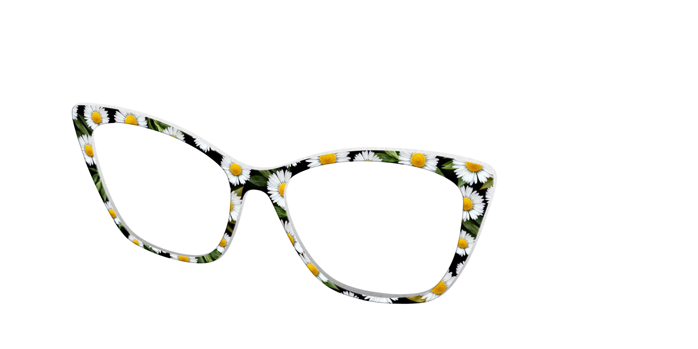 The Delicate Daisies - Image 26