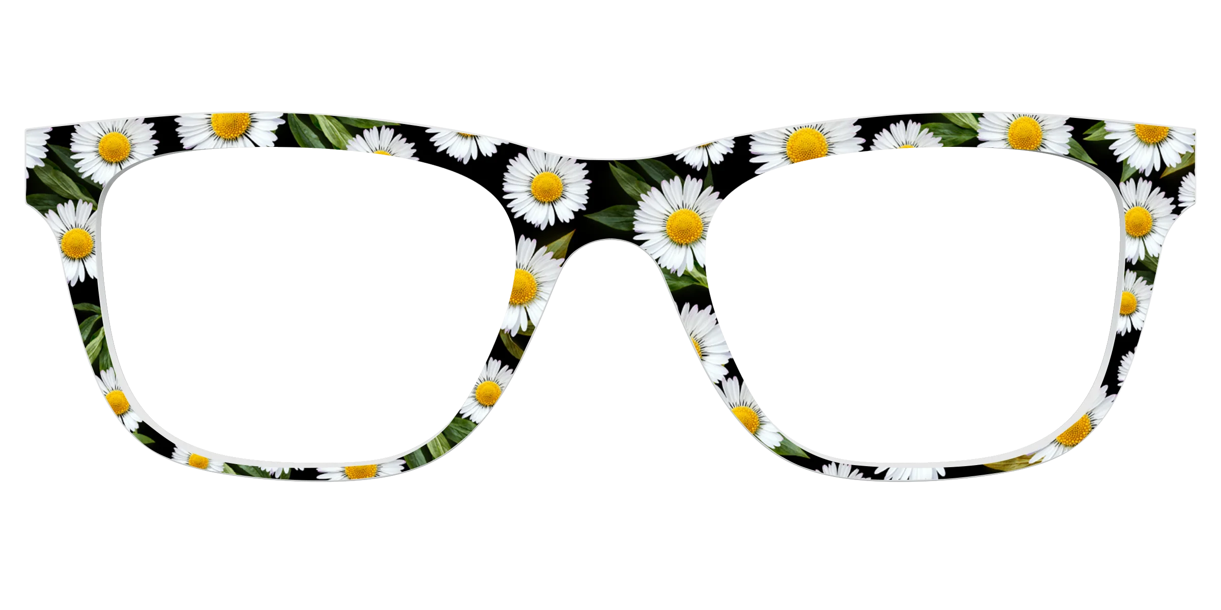 The Delicate Daisies - Image 27