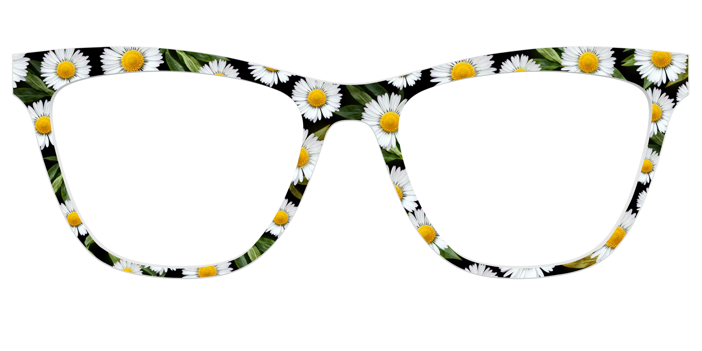 The Delicate Daisies - Image 29