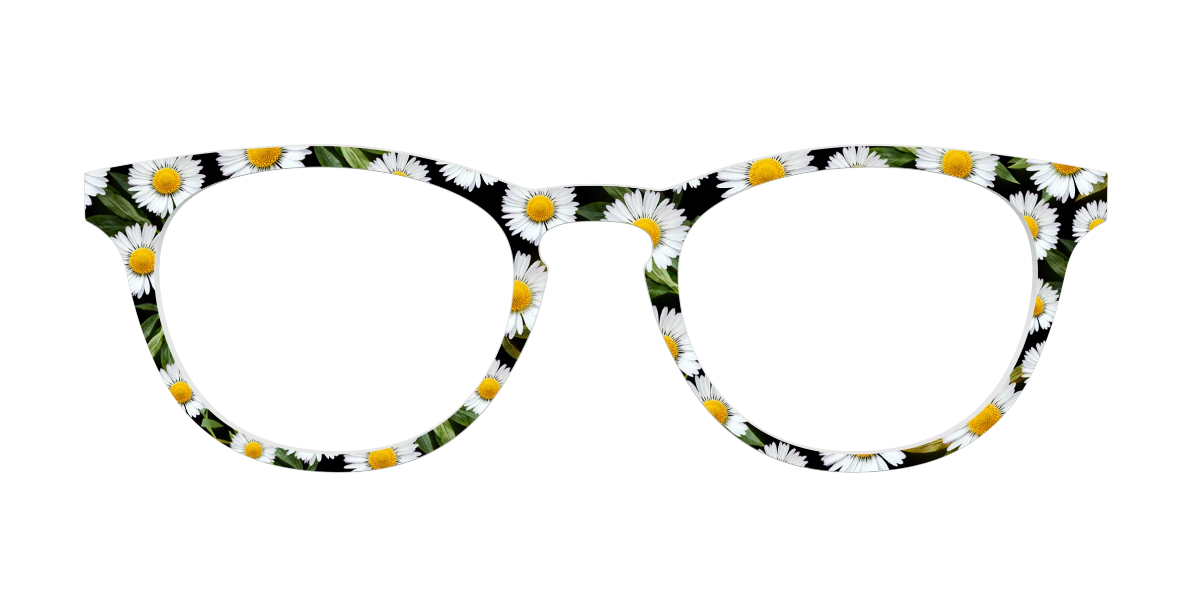 The Delicate Daisies - Image 3
