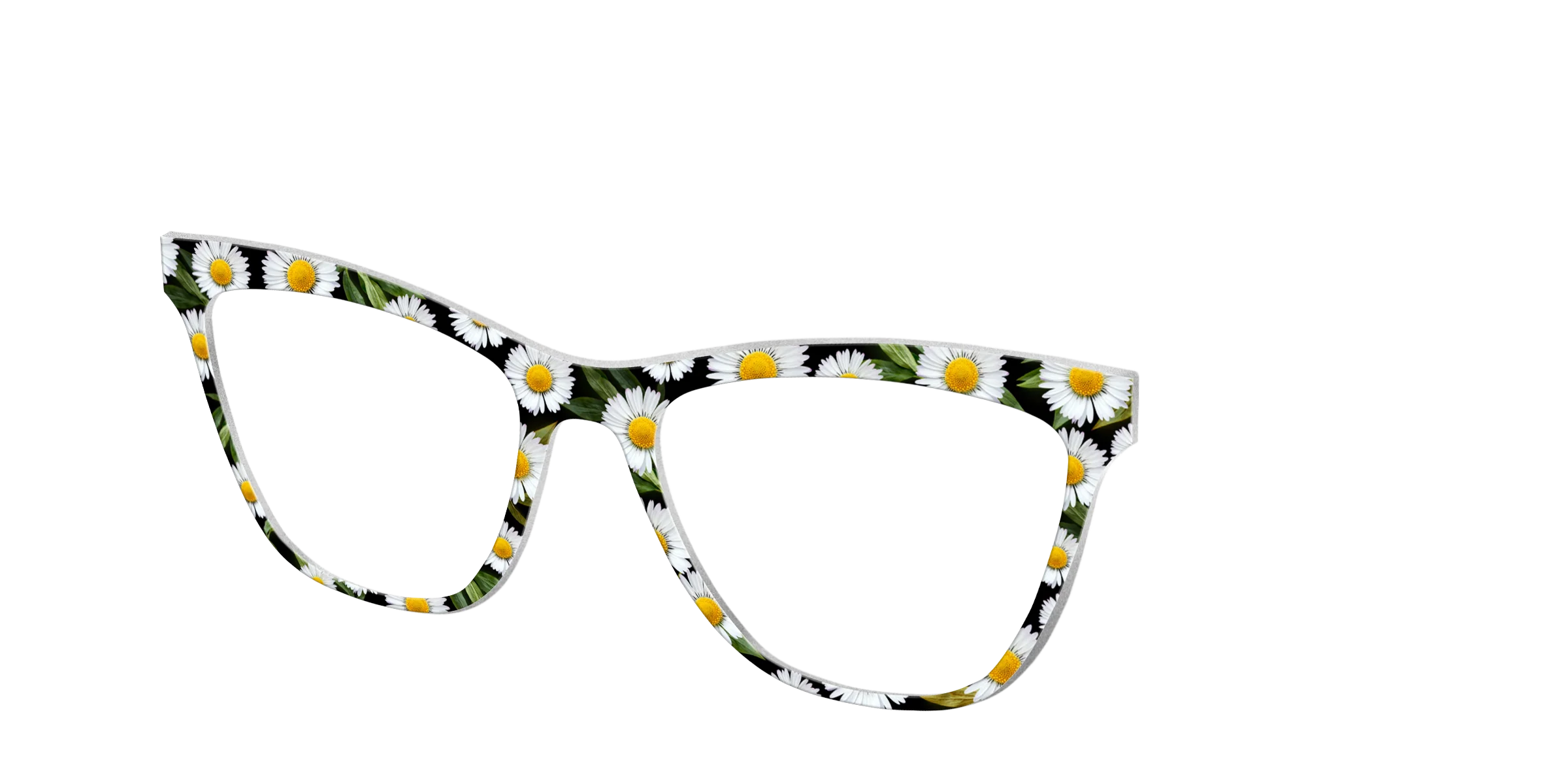 The Delicate Daisies - Image 30