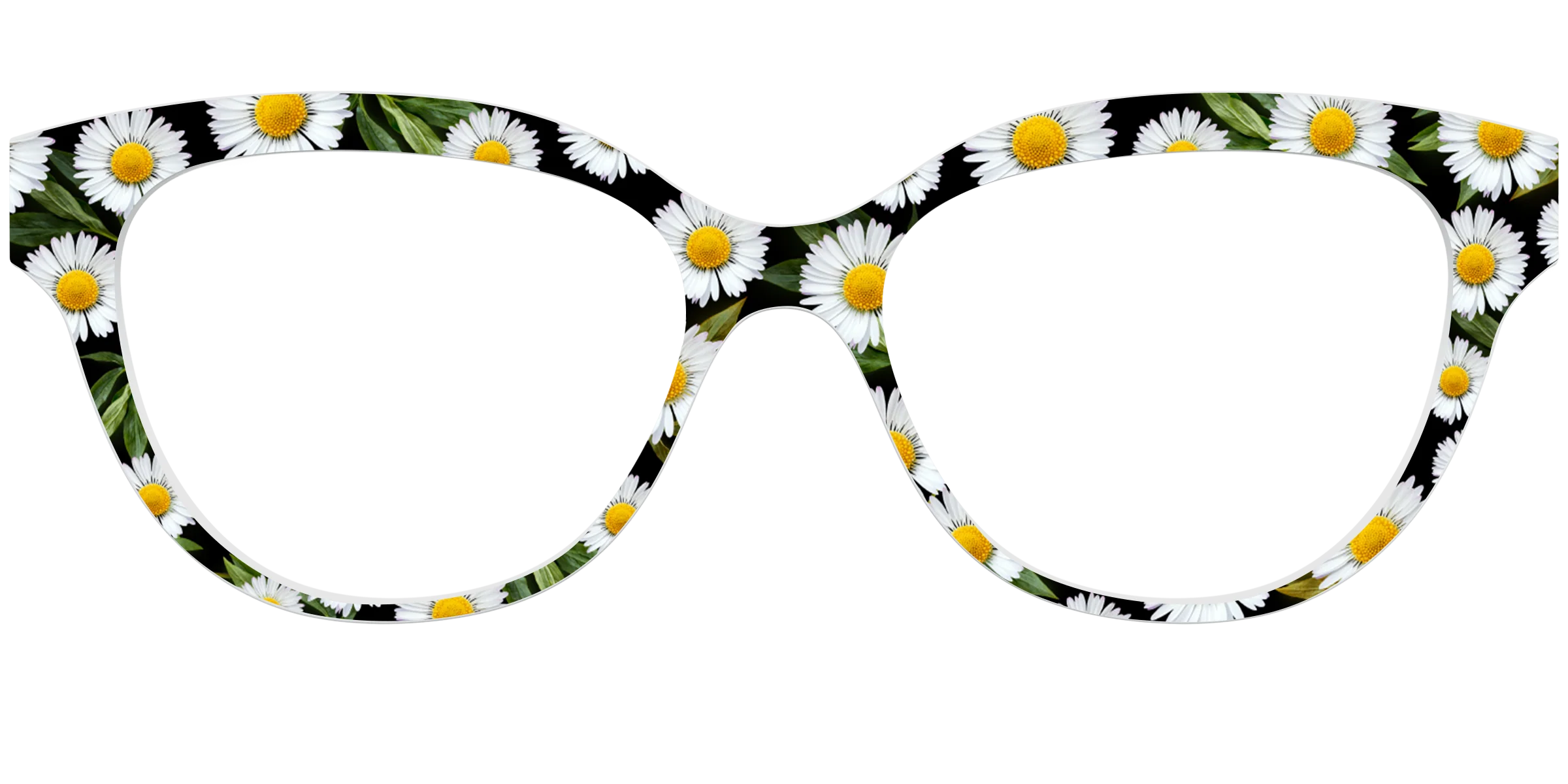 The Delicate Daisies - Image 33