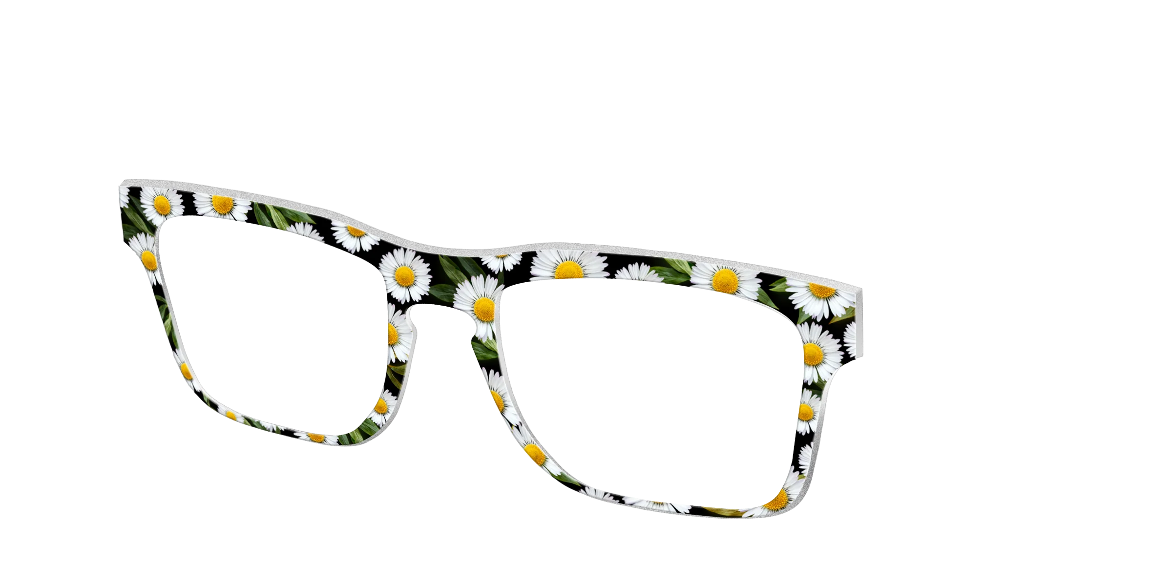 The Delicate Daisies - Image 36