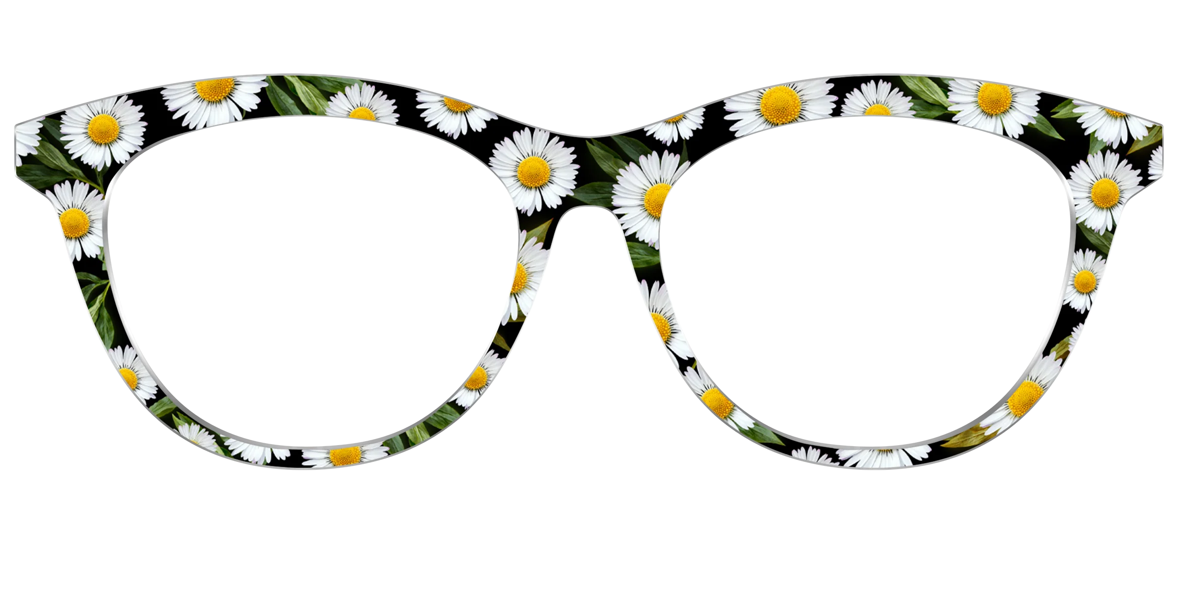 The Delicate Daisies - Image 41