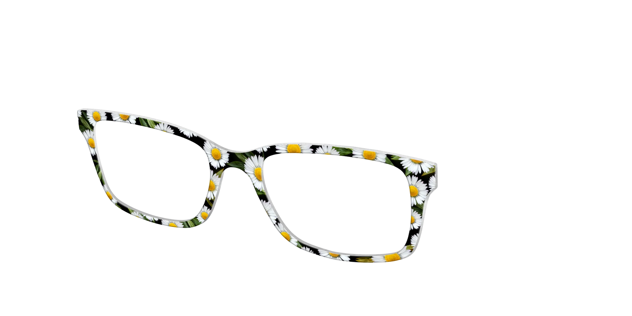 The Delicate Daisies - Image 6