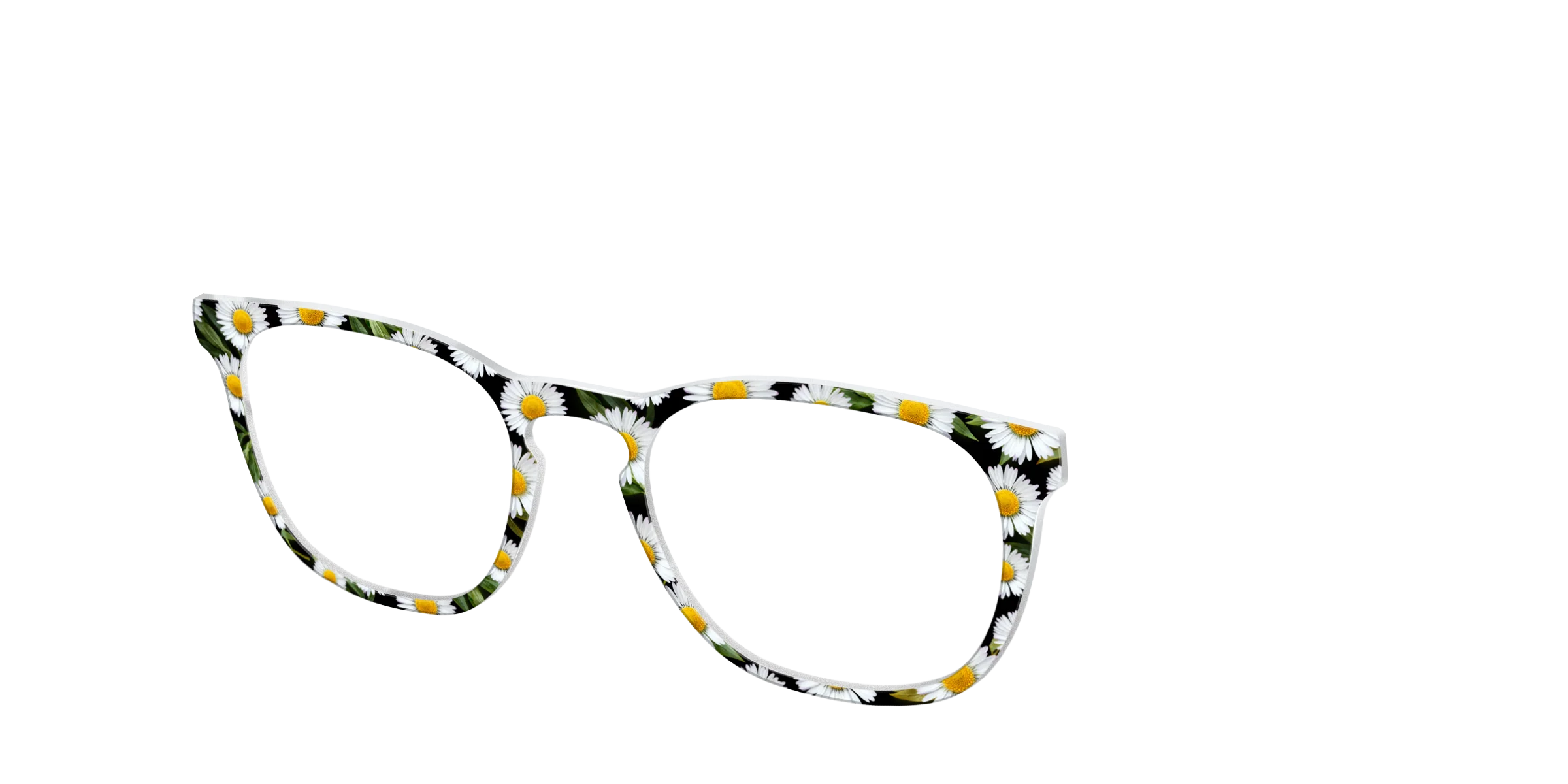 The Delicate Daisies - Image 8