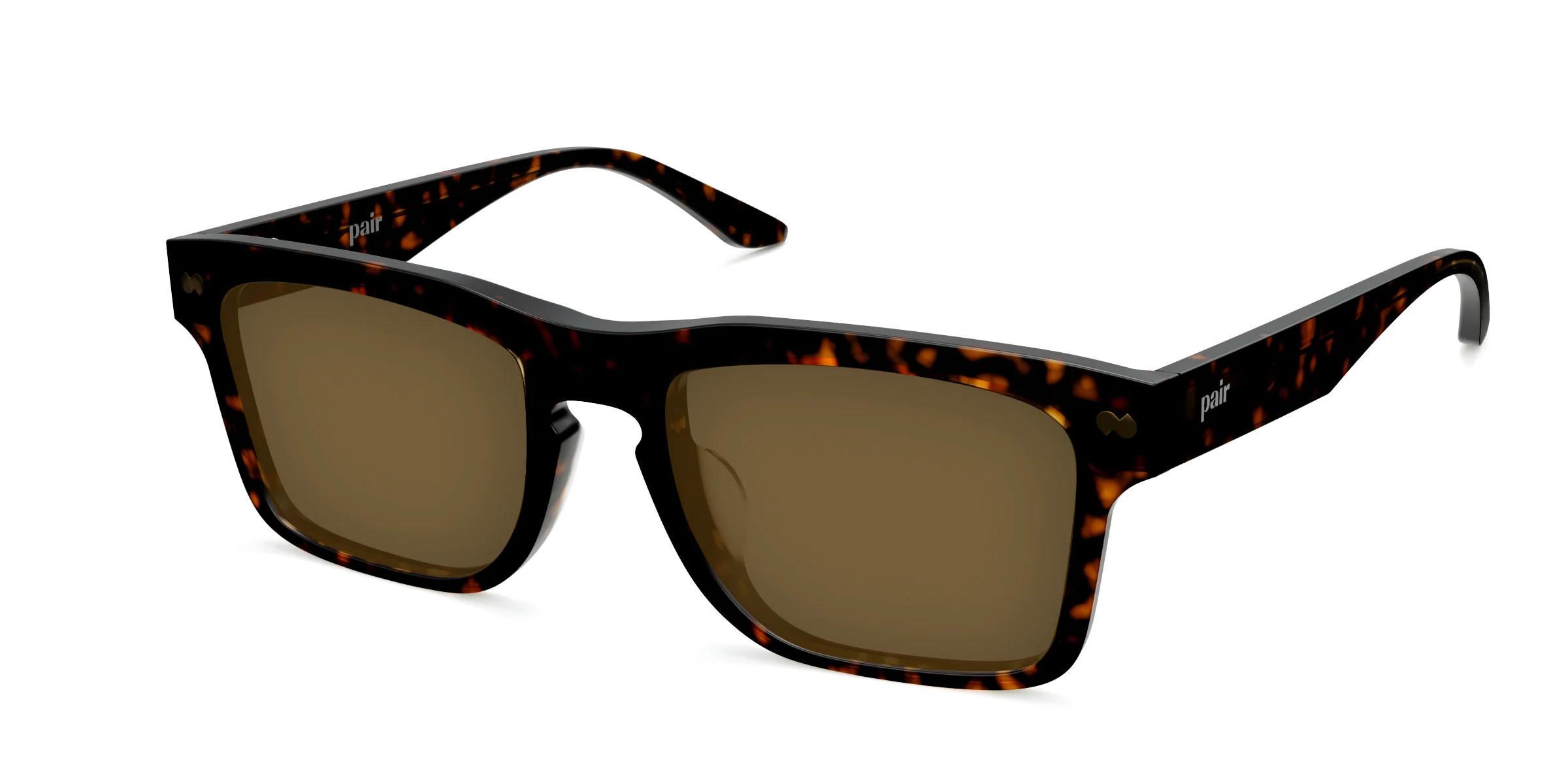 The Drew - Tortoise Sun - Image 4