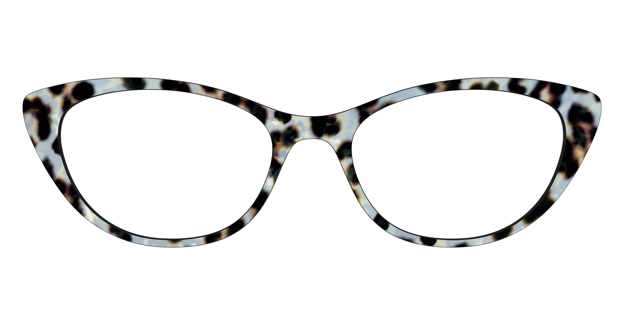 The Earl Grey Tortoise - Image 23