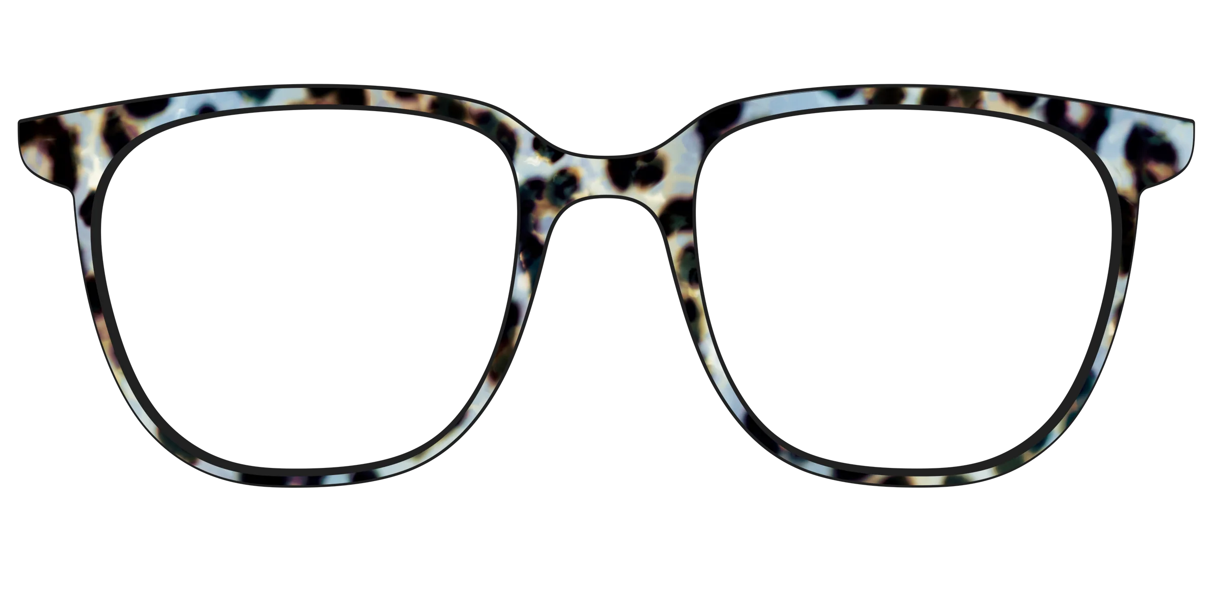 The Earl Grey Tortoise - Image 47