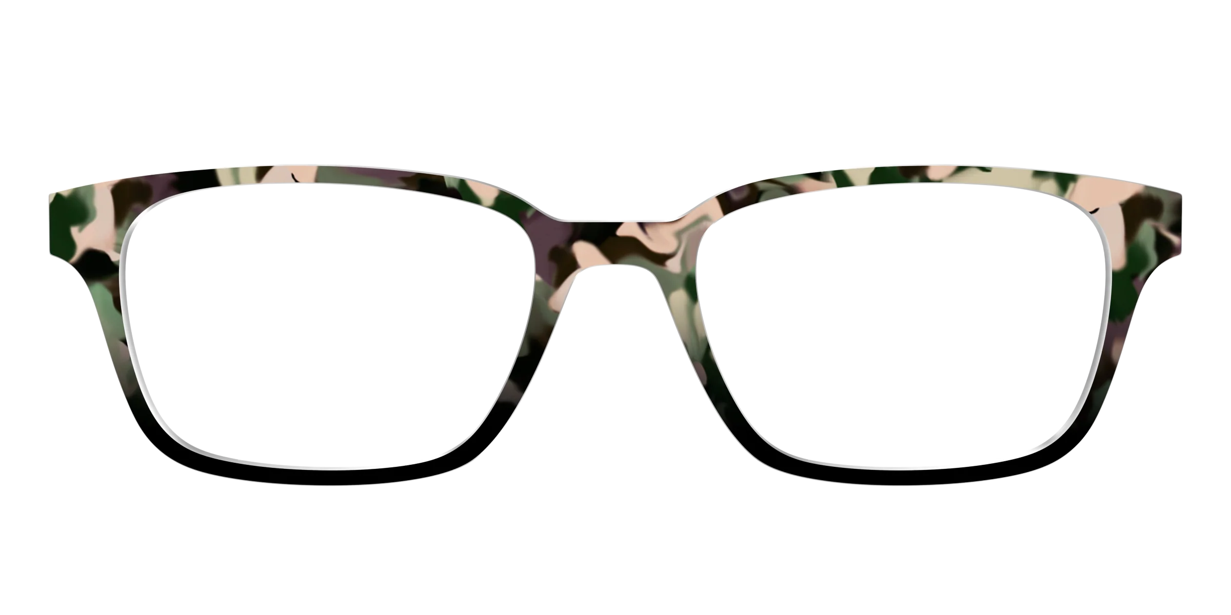 The Forest Tortoise - Image 21