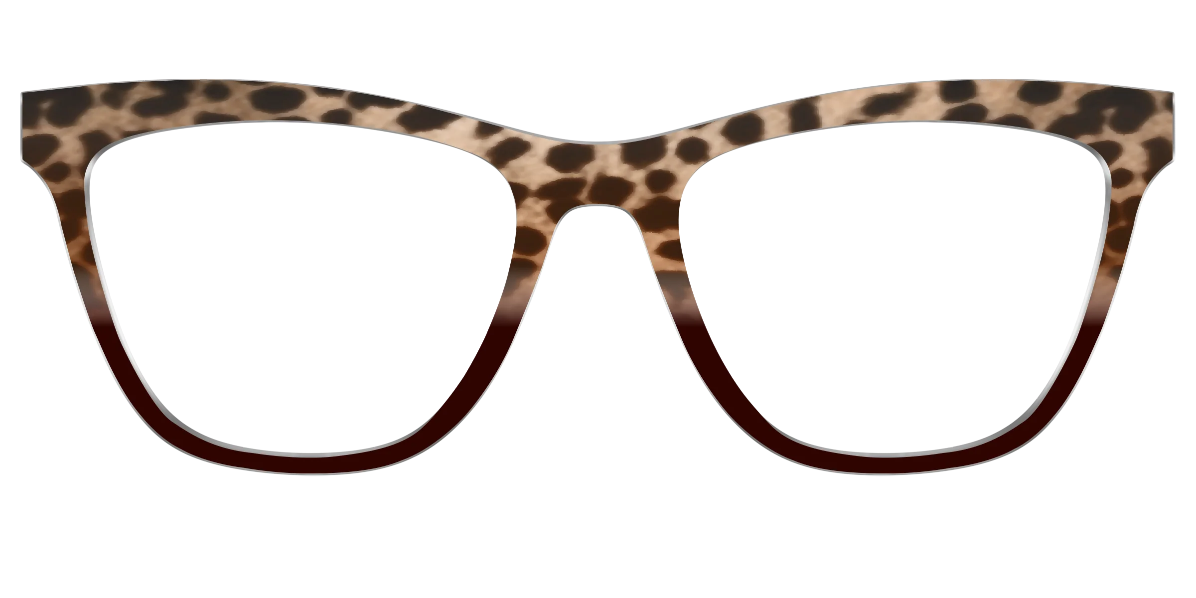 The Jungle Cat Tortoise - Image 29