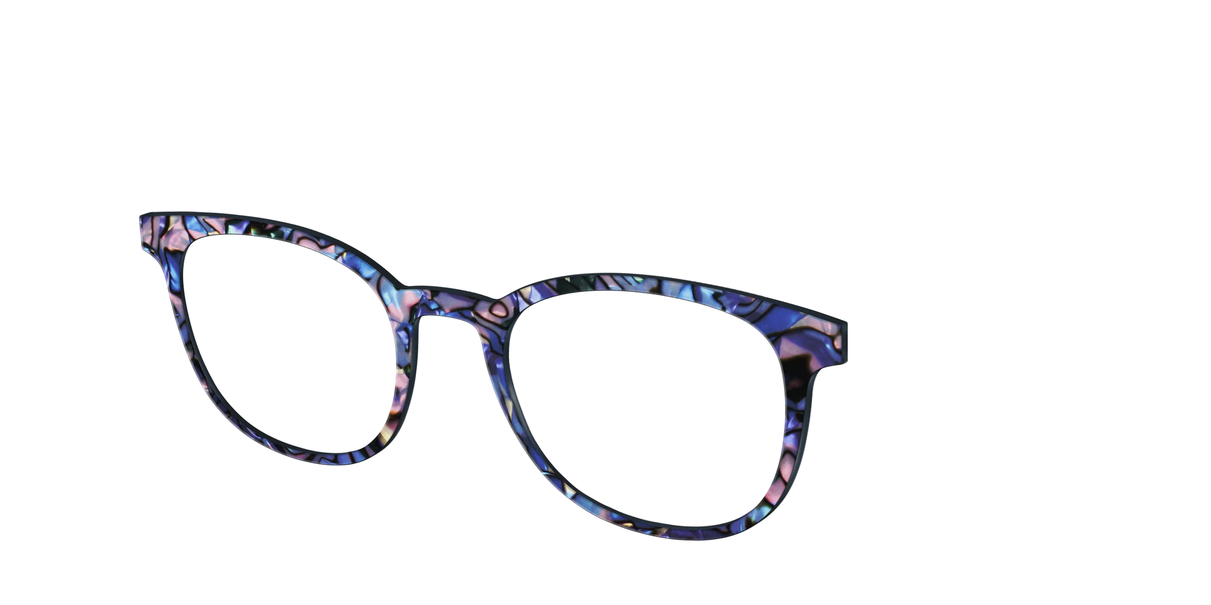 The Lagoon Pearl Tortoise - Image 16